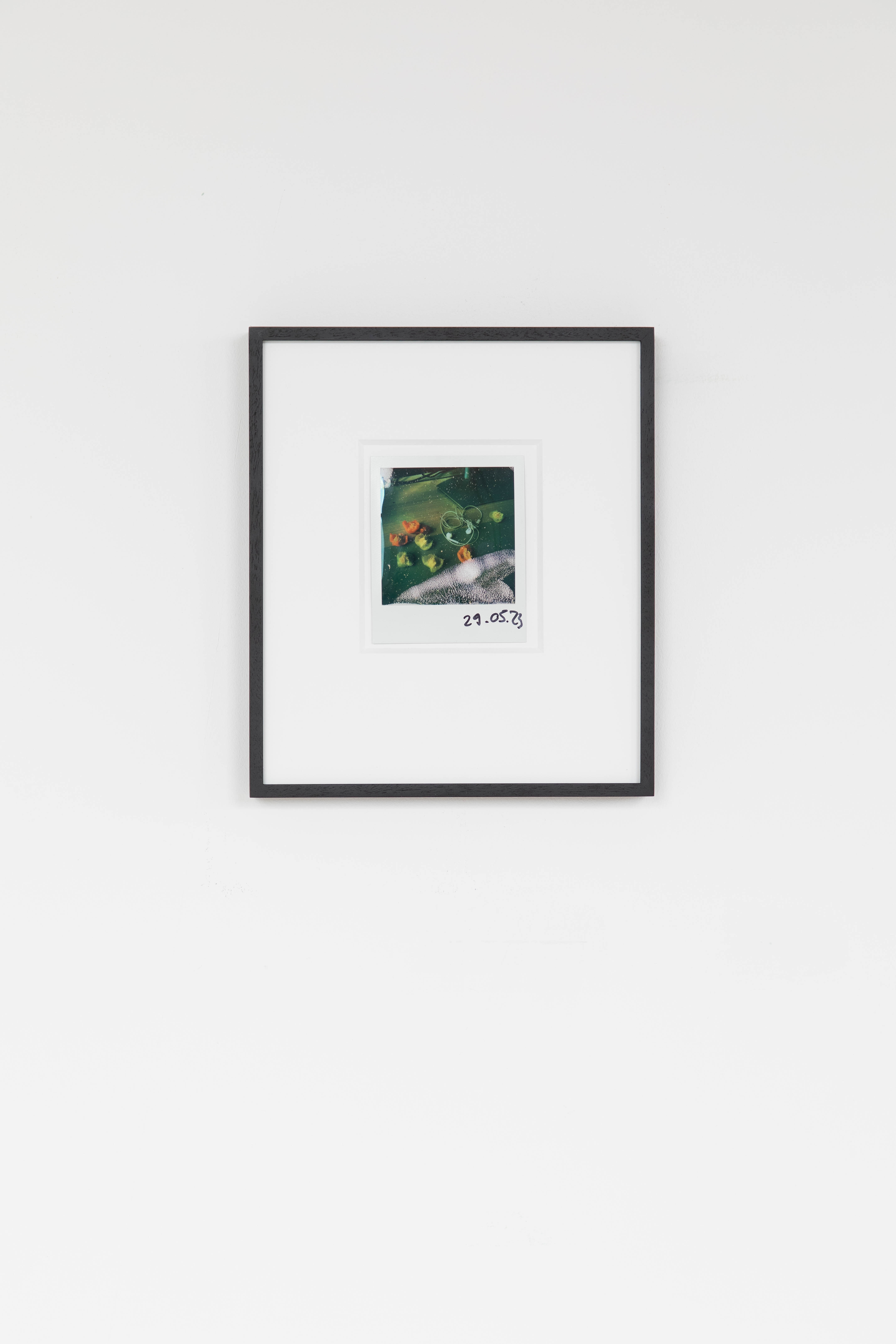 Studio: Index, I ate , 2023.