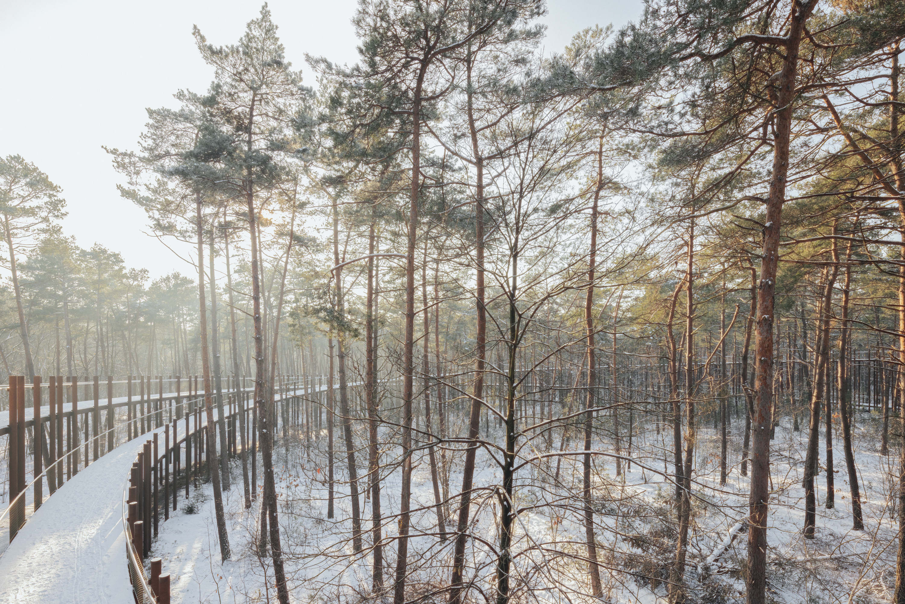 Fietsen door de bomen - BuroLandschap, Atelier Ensemble & De Gregorio & Partners