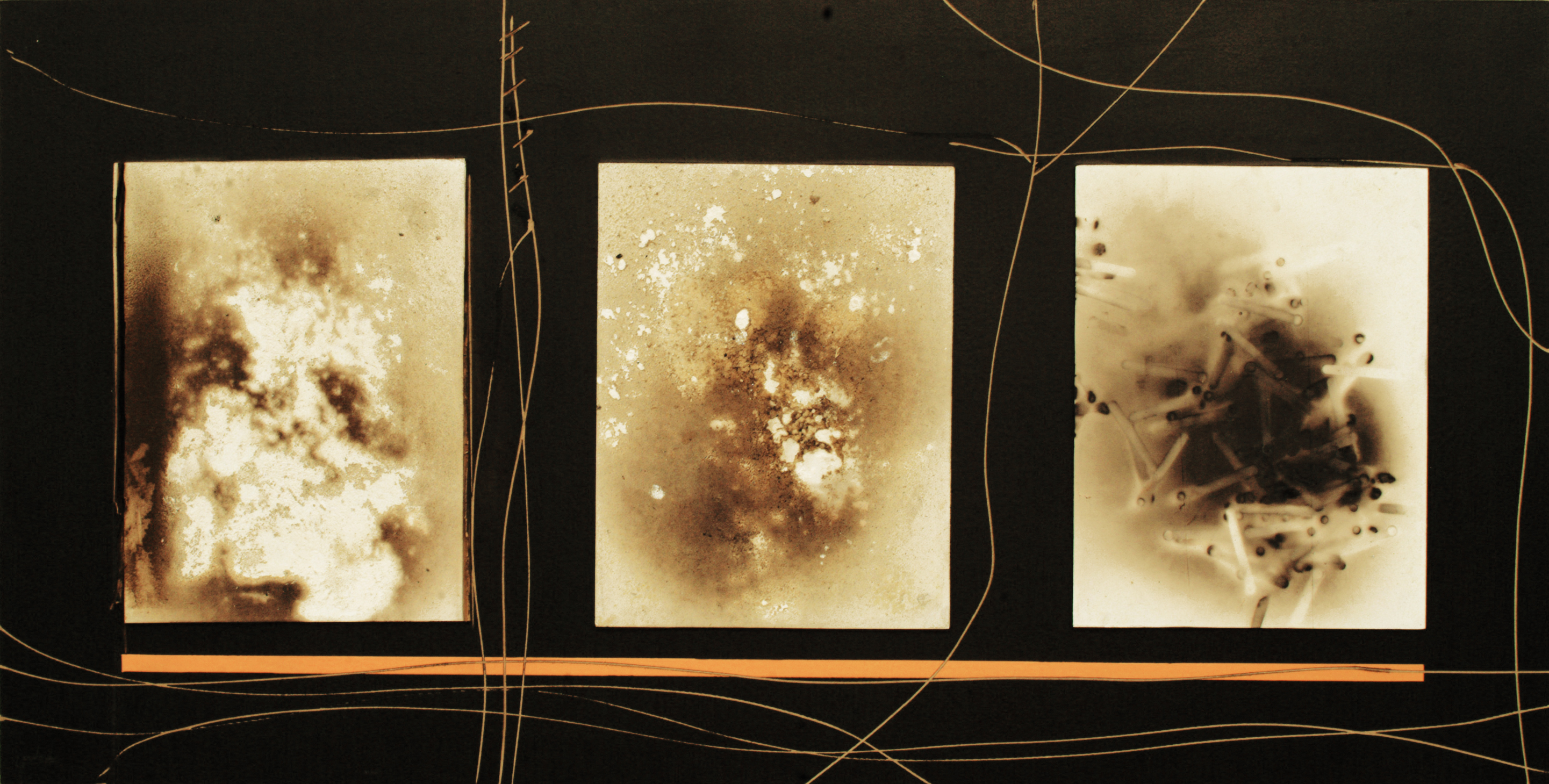 In The Wind(60 x 120 cm)