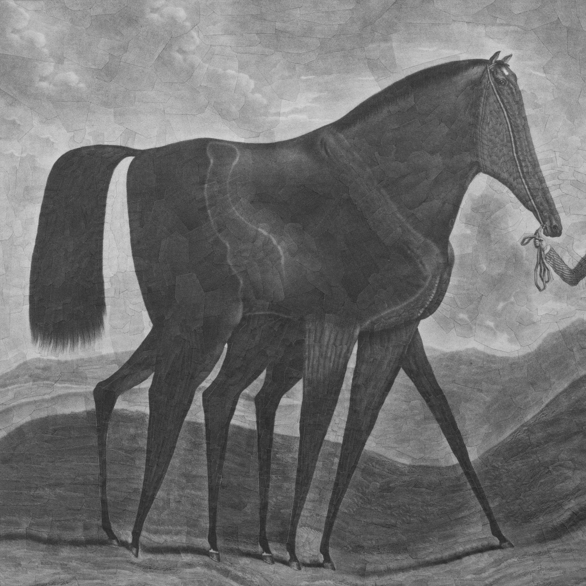 Racehorse after Houston with Gallery Ergo, 2024, 11.8 x 11.8 inches 