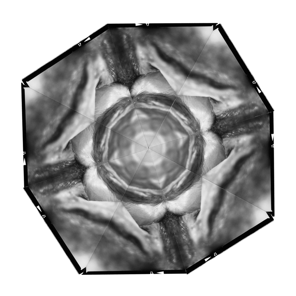 2004 05The Flowers of DelightKvetiny slasti