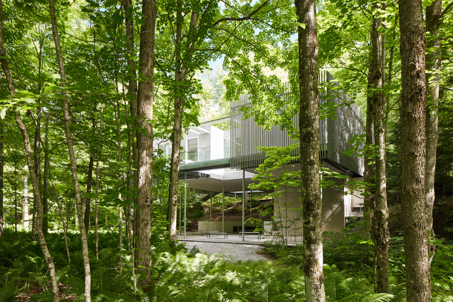 Fondation Grantham pour l'art et l'environnement