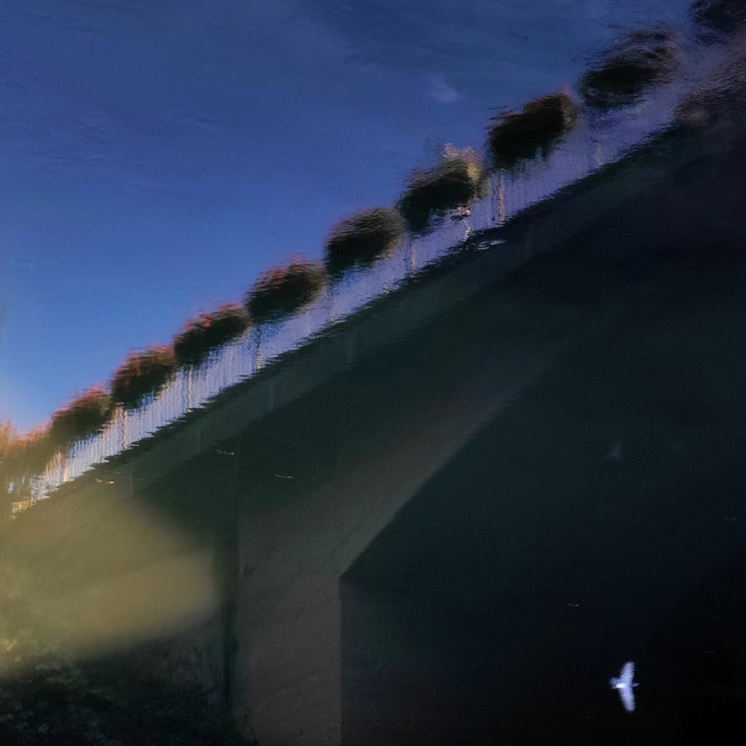 (Im)piccione, 2025 - Presented at the contest "Le forme dell'acqua" - Porta Nova incontrà