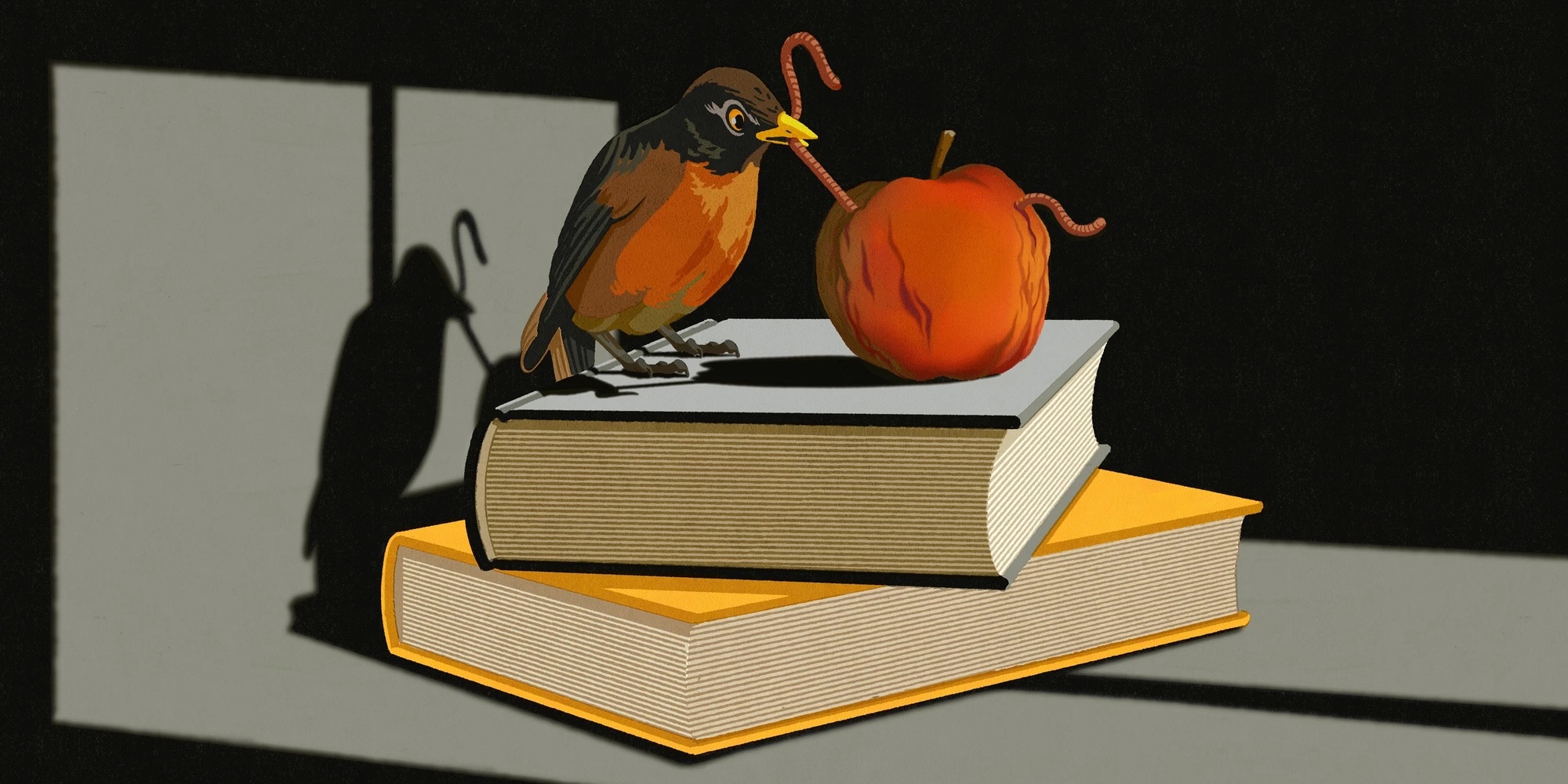 Colleges don't want you to know that 'early decision' is actually a rigged game