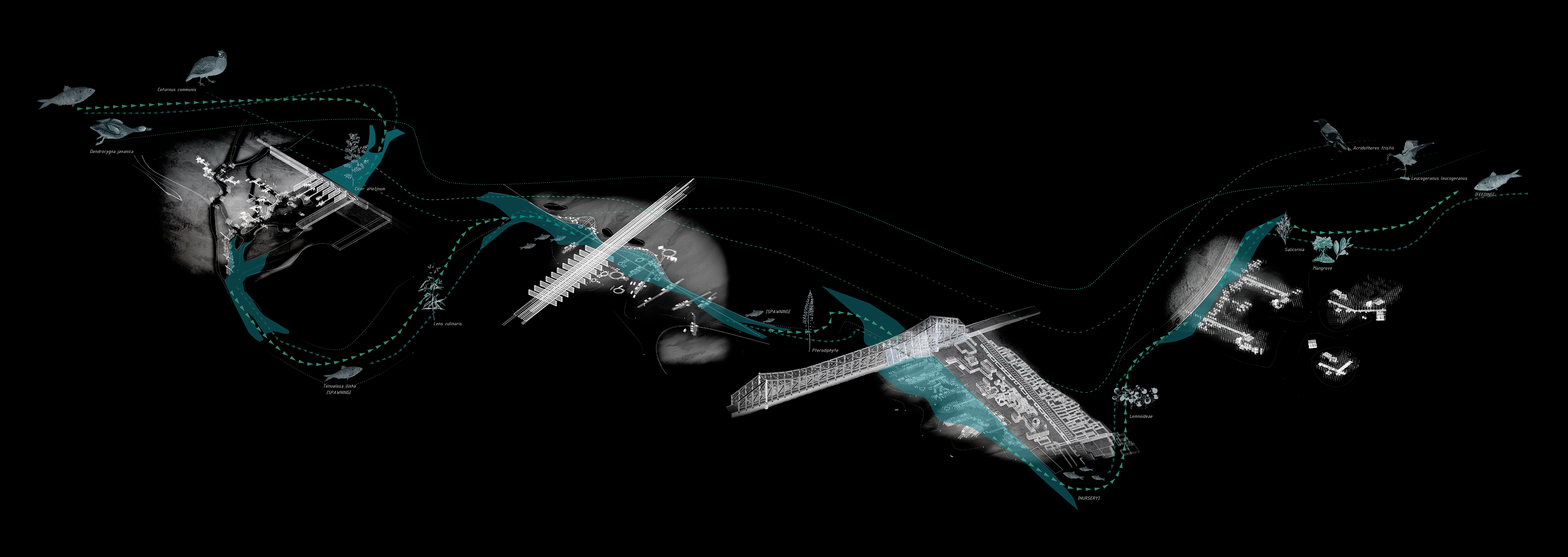 Landscape interventions along the Hooghly river aiming at unlocking the flow of sediments and ecologies