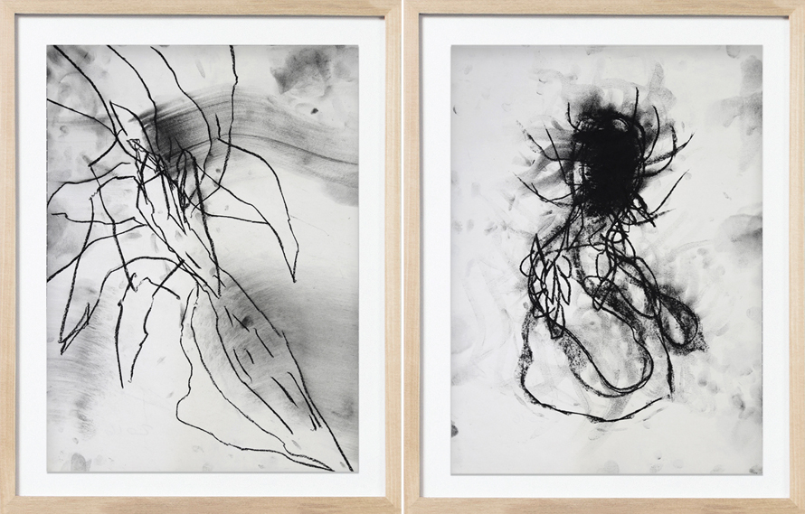 Hernán Cédola, Untitled 3 (Diptych), 2016. Charcoal on paper, 16 x 12 inches each.