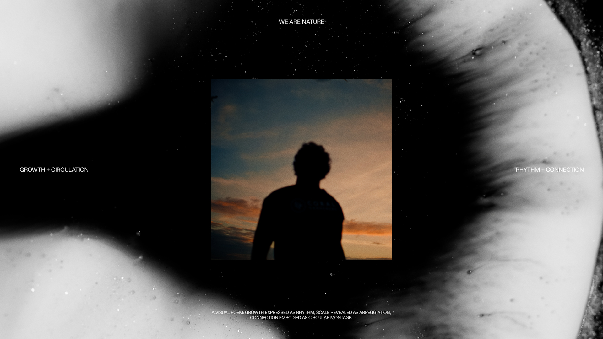 THE NAT – Nature Returns Film