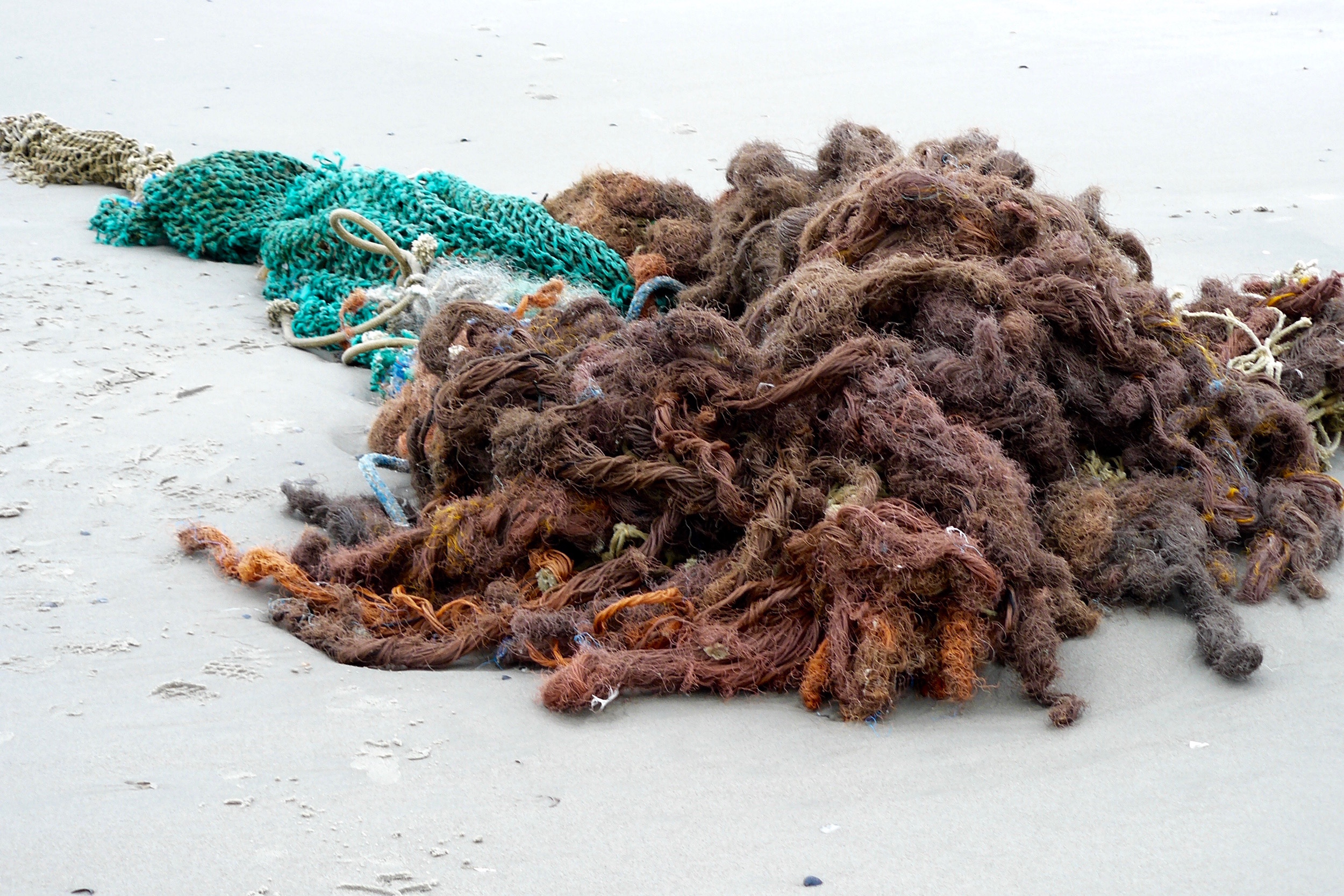 Studio Fine Art 2025.