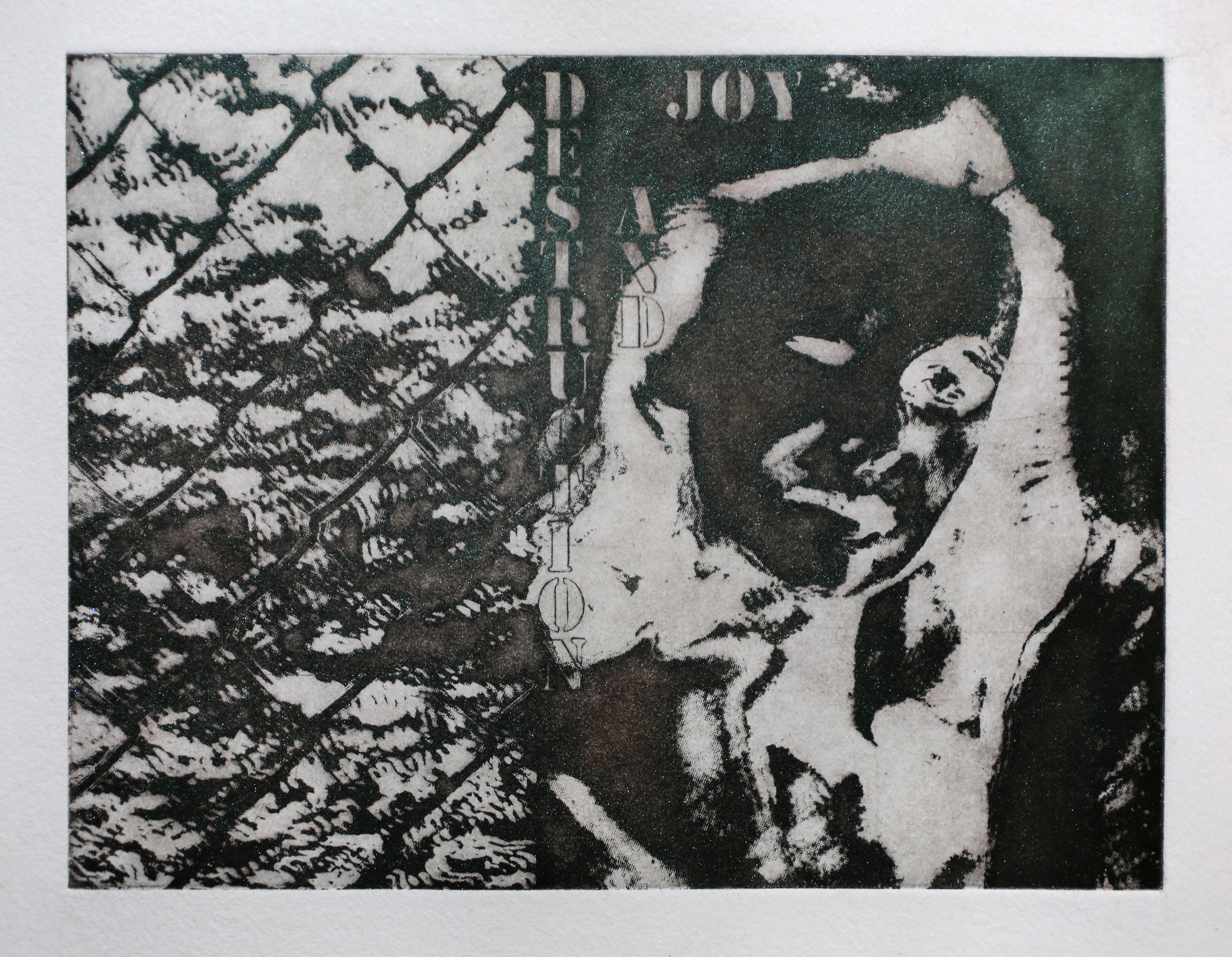 Untitled, etching with aquatint and interference pigment, 5" x 8" (plate), 2024