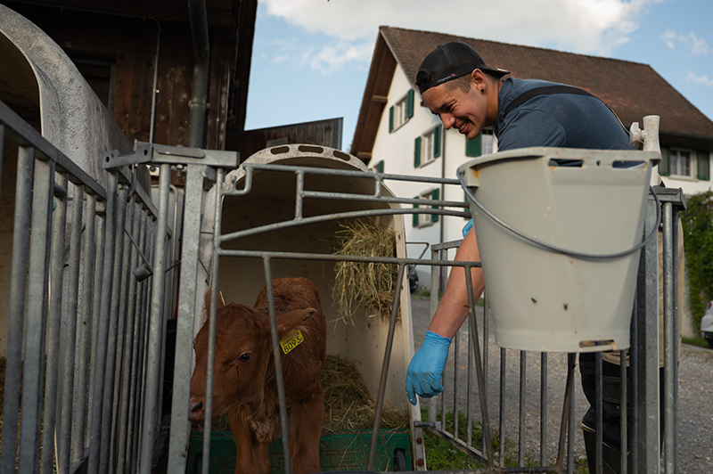 Frische Milch im Eimer &ndash; Vertrauen w&auml;chst mit jedem Schluck.
