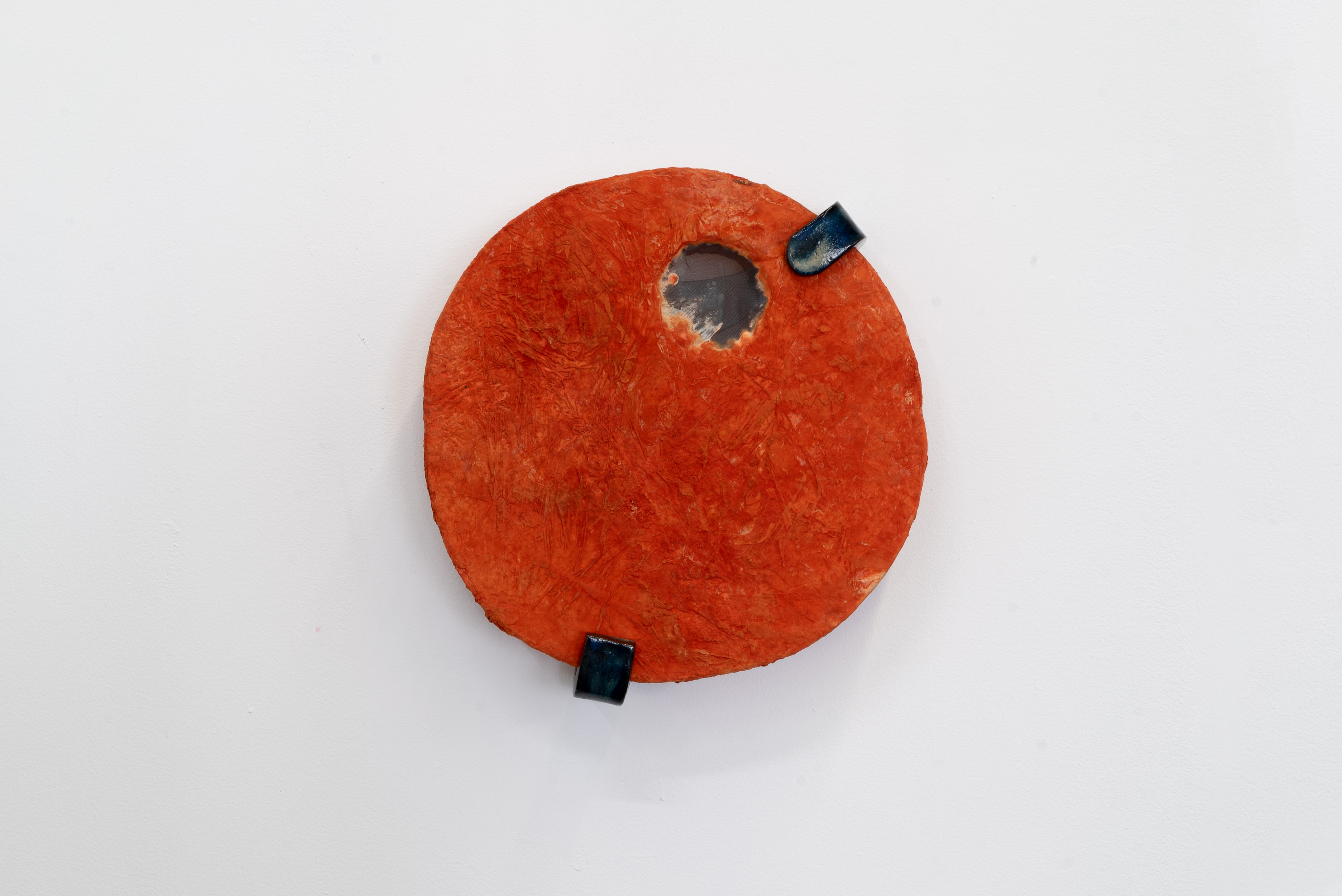 Sam Shoemaker, Diogenes' Coin. Pycnoporus sanguineus mycelium, hemp, synthetic textiles, ceramic braces. 2024