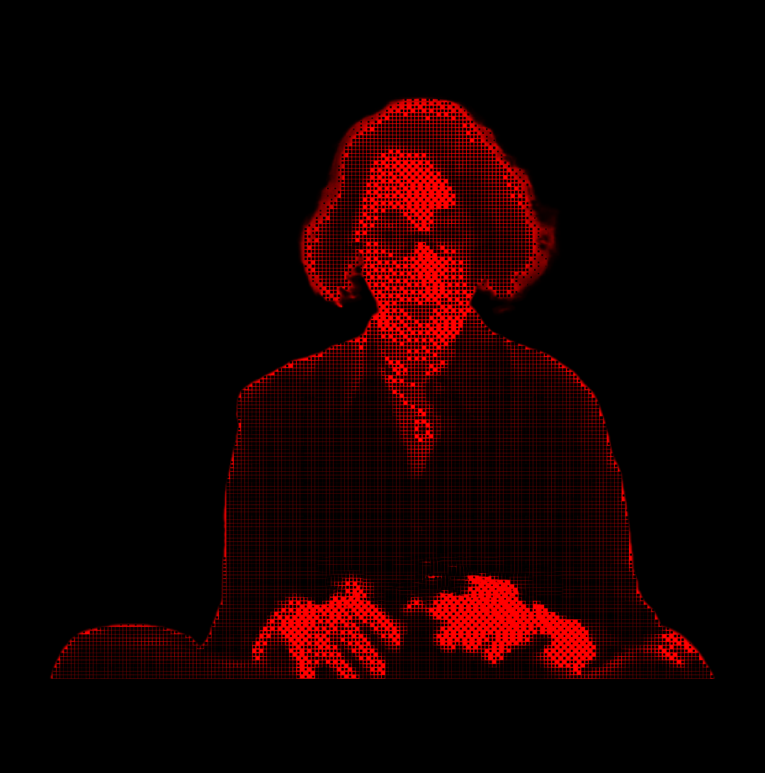 *a moment to appreciate the work of ELLEN ULLMAN* computer programmer and author who worked as a software engineer during the early days of the internet. she wrote a book about her experiences named Close to the Machine Technophilia and Its Discontents.