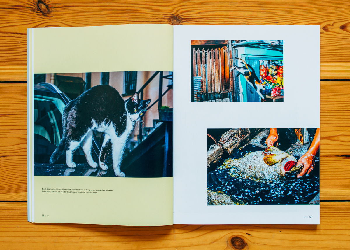 Leica Fotografie International Magazine / Backyard Diaries Series / 06/2020