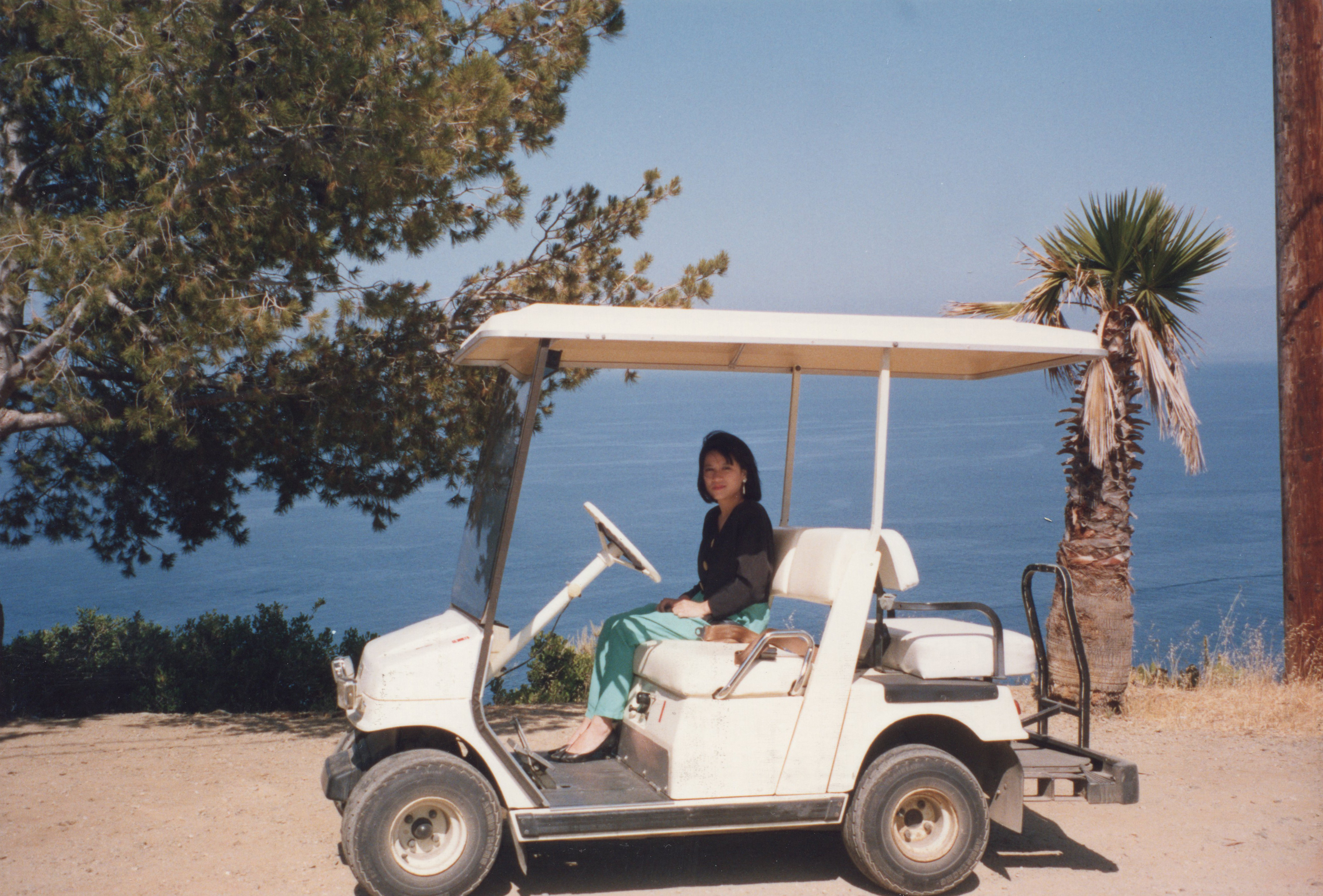 01131 Palos Verdes, CA 1990