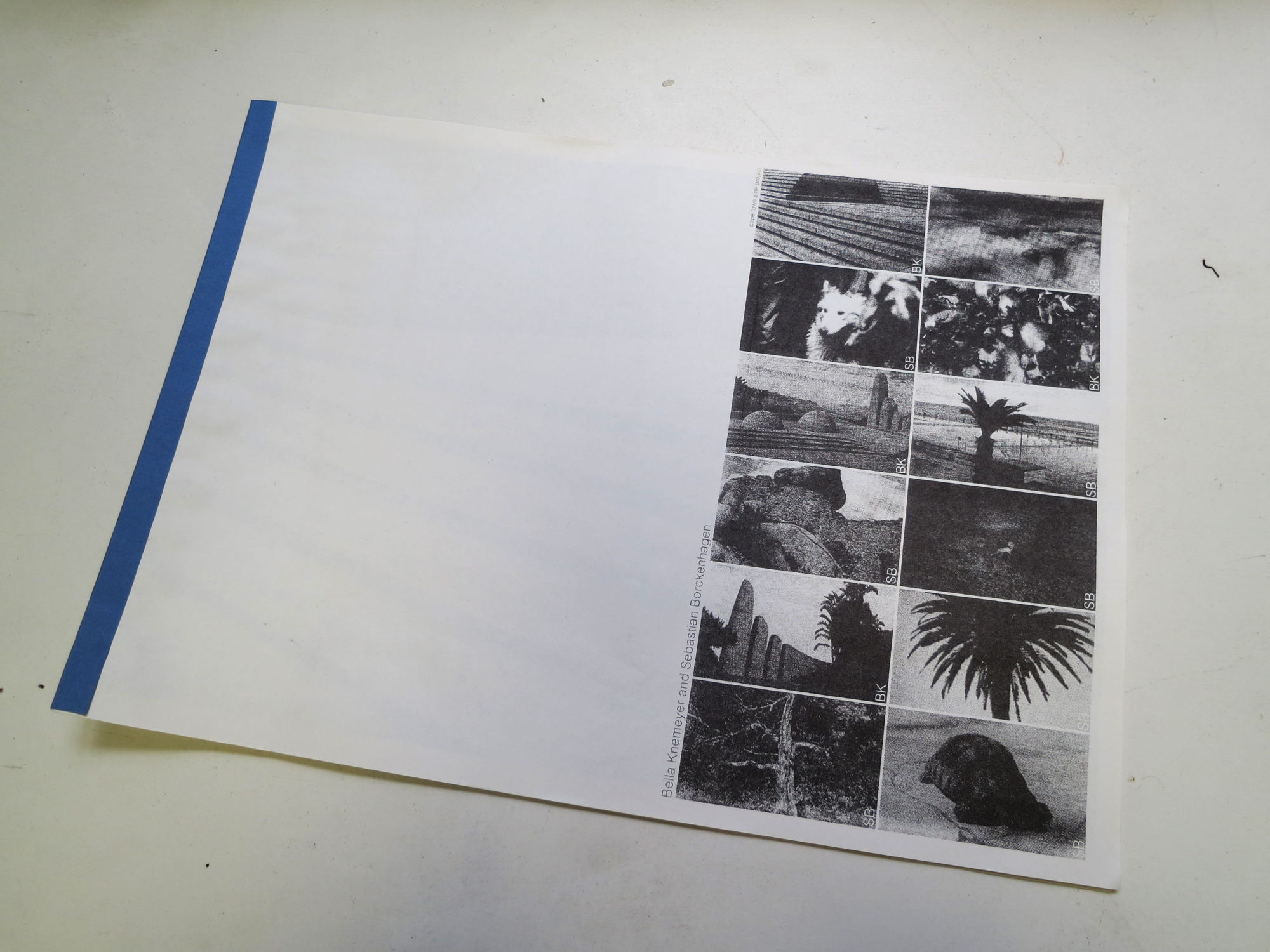 A book of photographs with Bella 2012