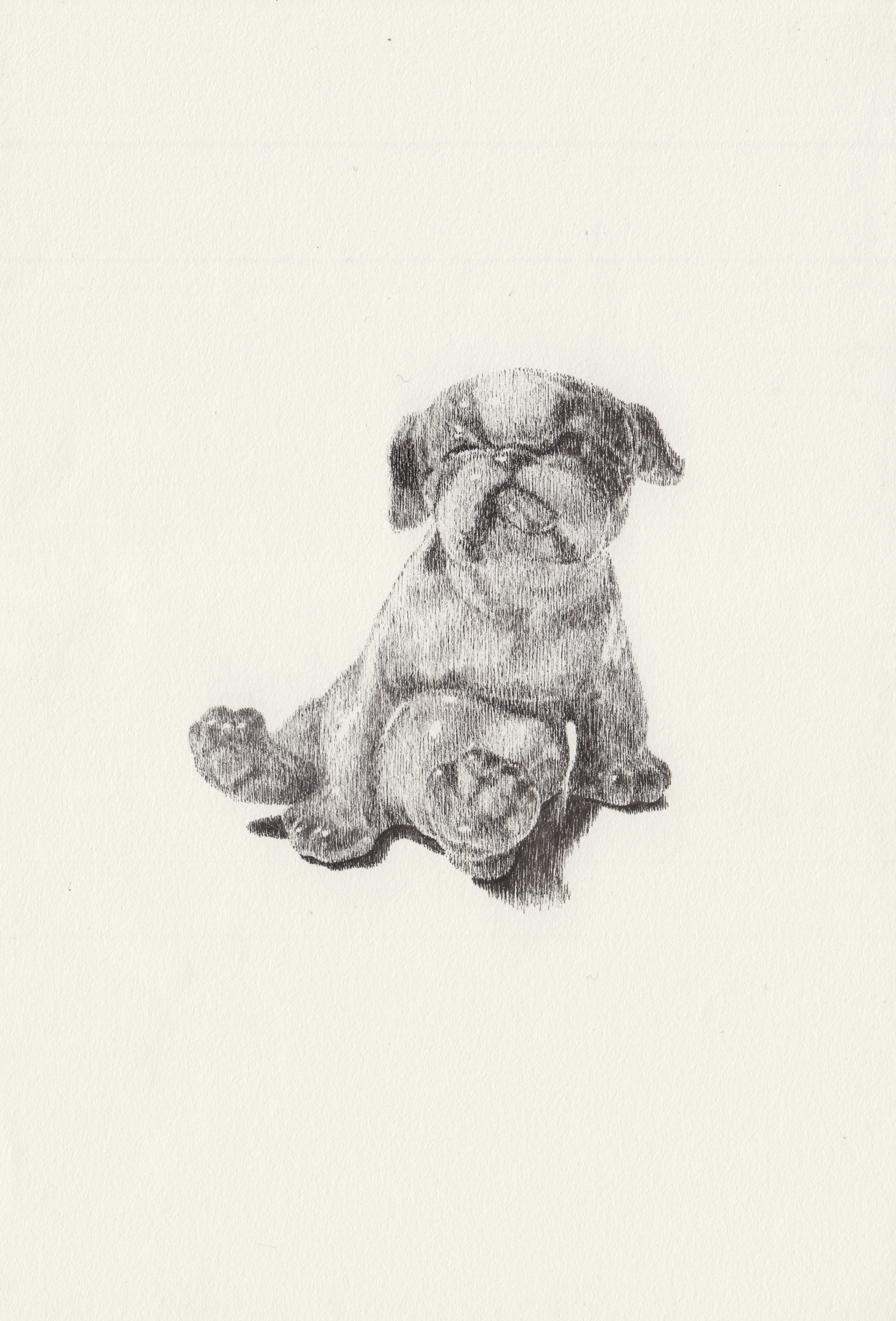 21. Bulldog in porcellana danese dipinta | Danish porcelain bulldog