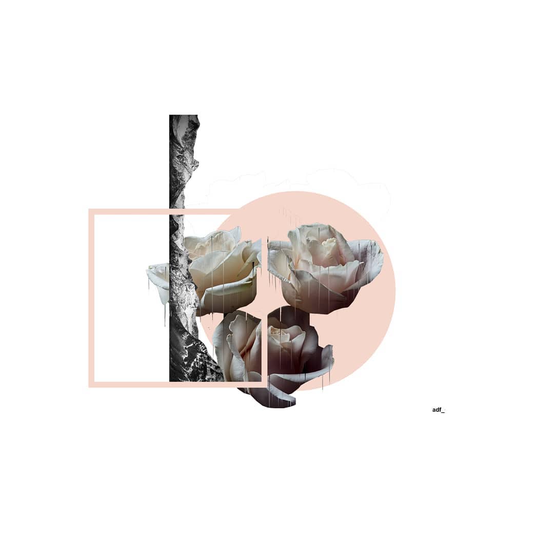 Agnes Diakite_Floucault