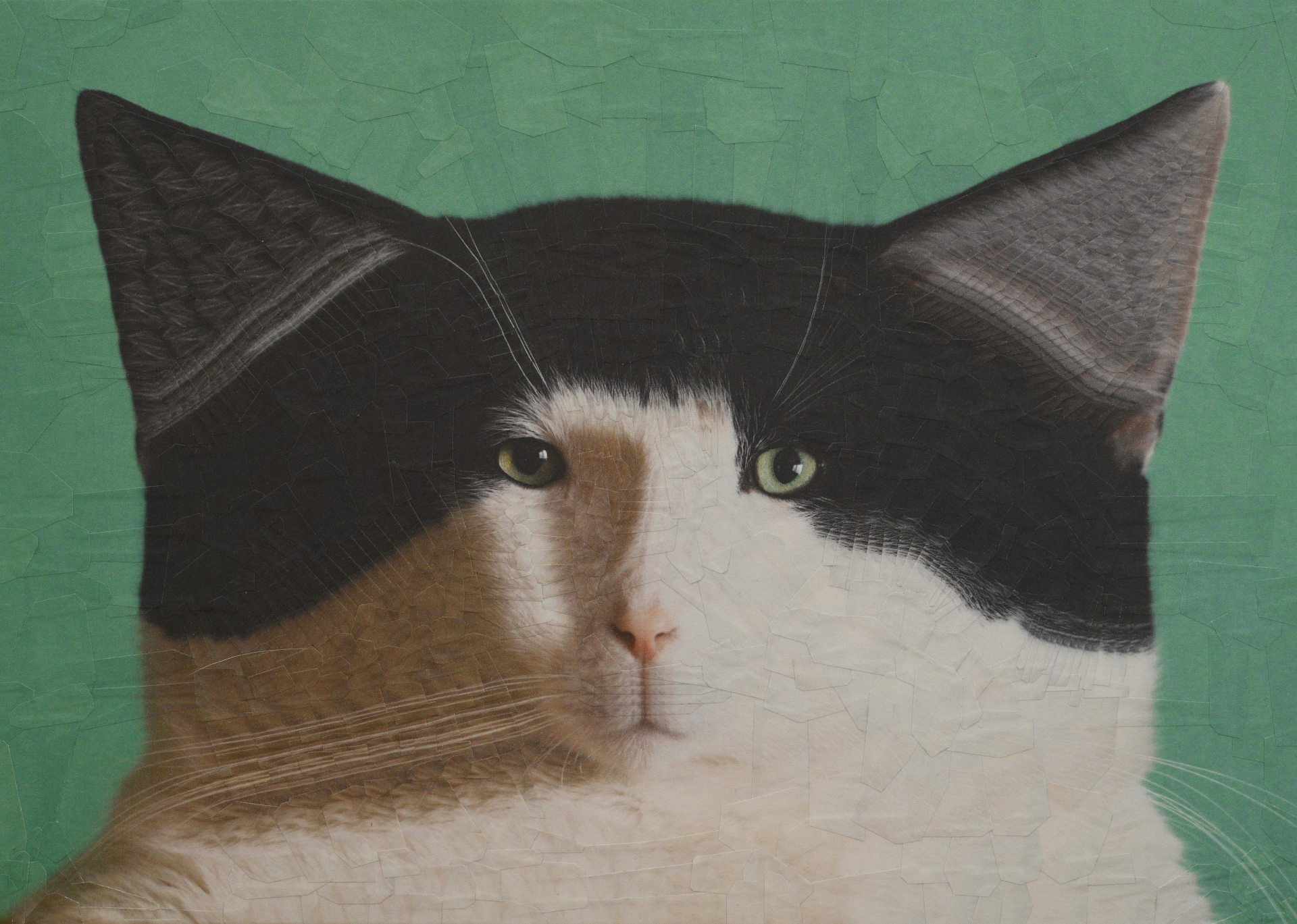 Buttons, 2022, 11.6 x 8.2 inches