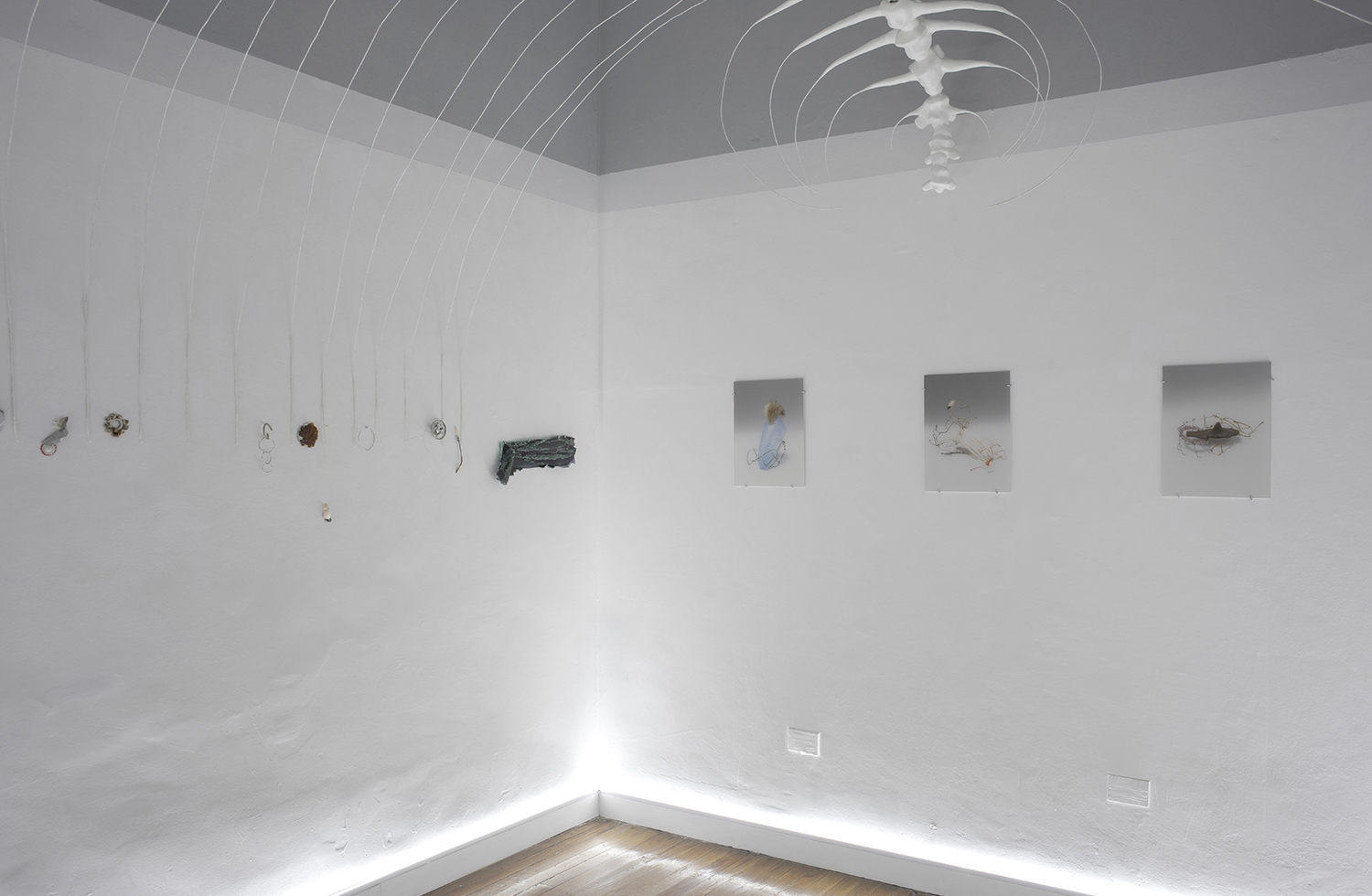 DIMMEREmilia de las CarrerasCuraduría de Carlos GutierrezDesde 29/10/22