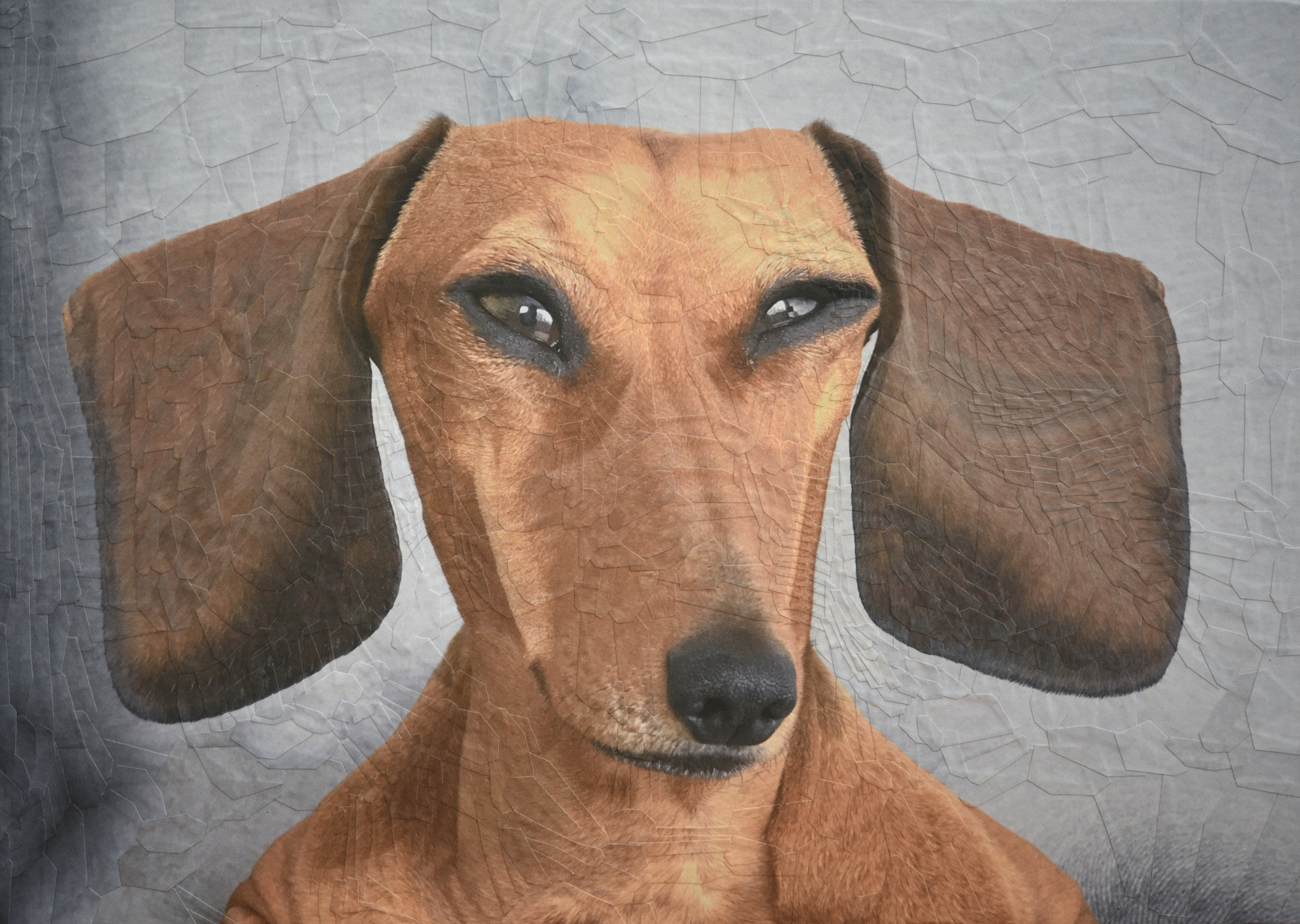 George The Sausage, 2020, 11.6 x 8.2 inches