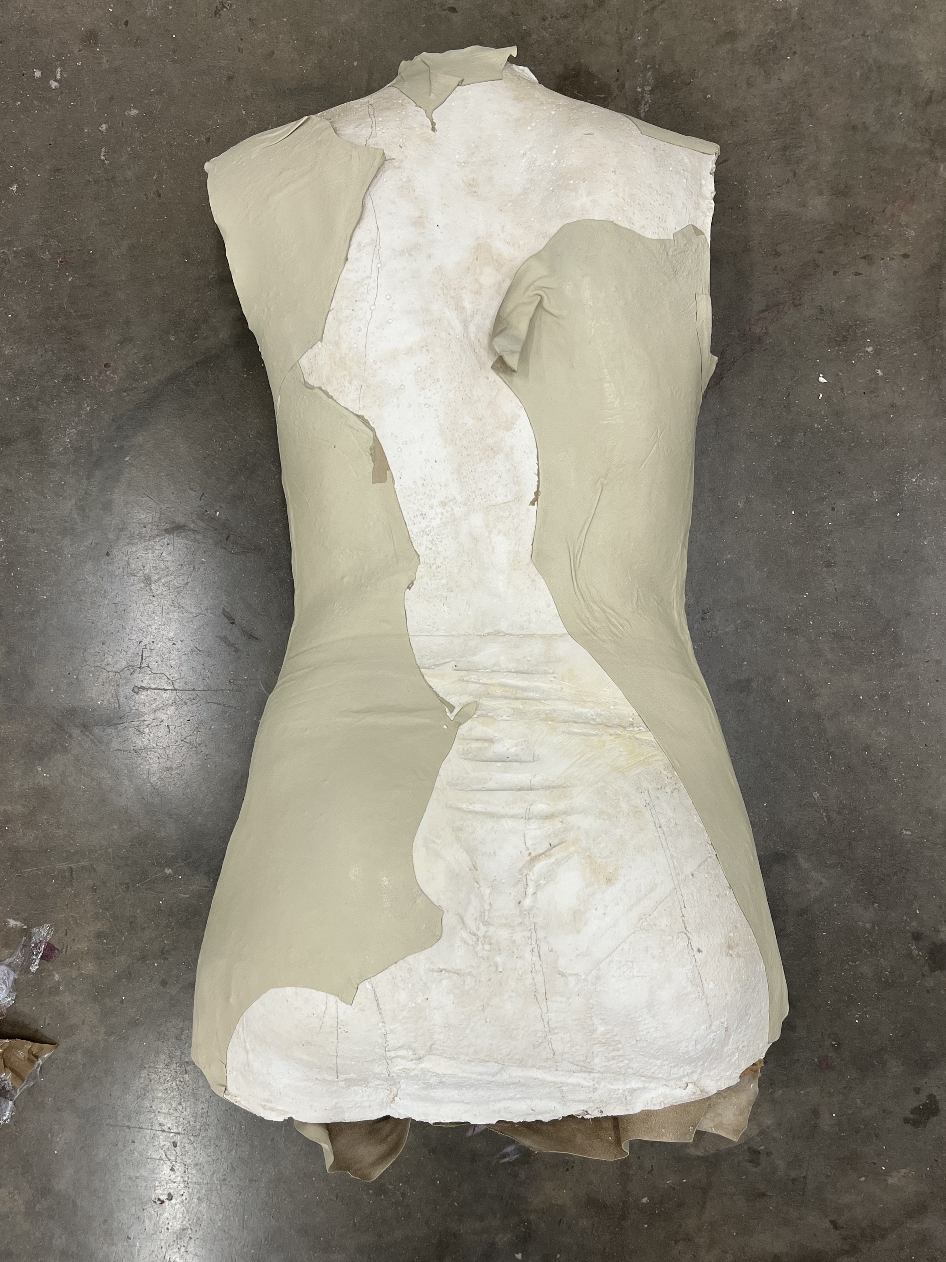 leather moulding on plaster bust