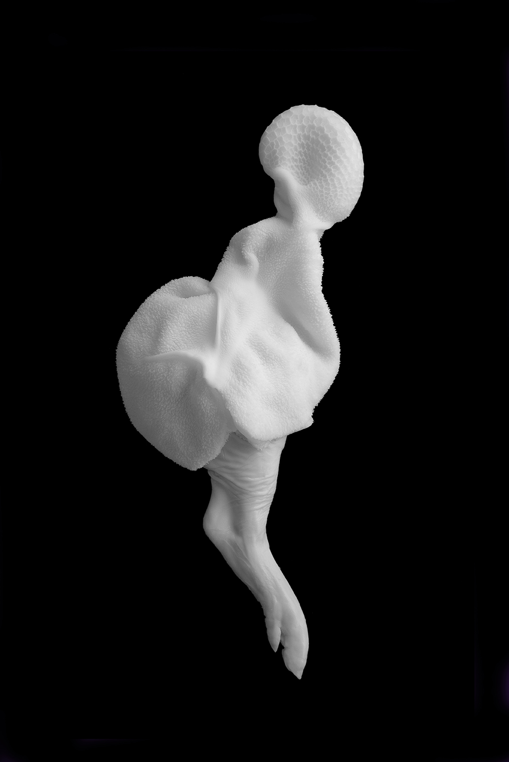 PHOTOGRAPHY BY RAF STUDIO FOR DISEGNO MAGAZINE