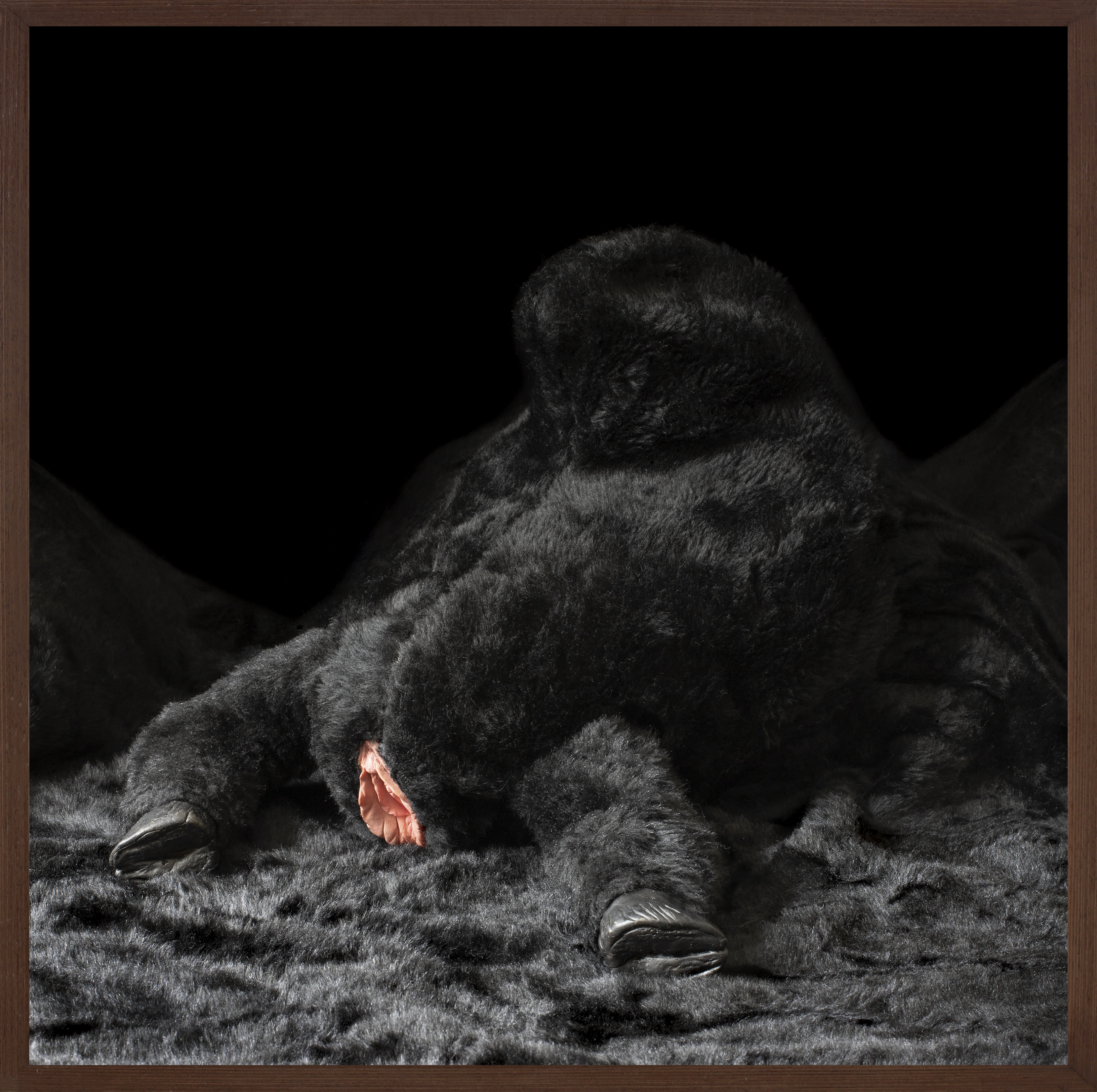 Of the lascivious nature I, 2023. Fine Art Photograph on composite aluminum, 70 x 70 cm.