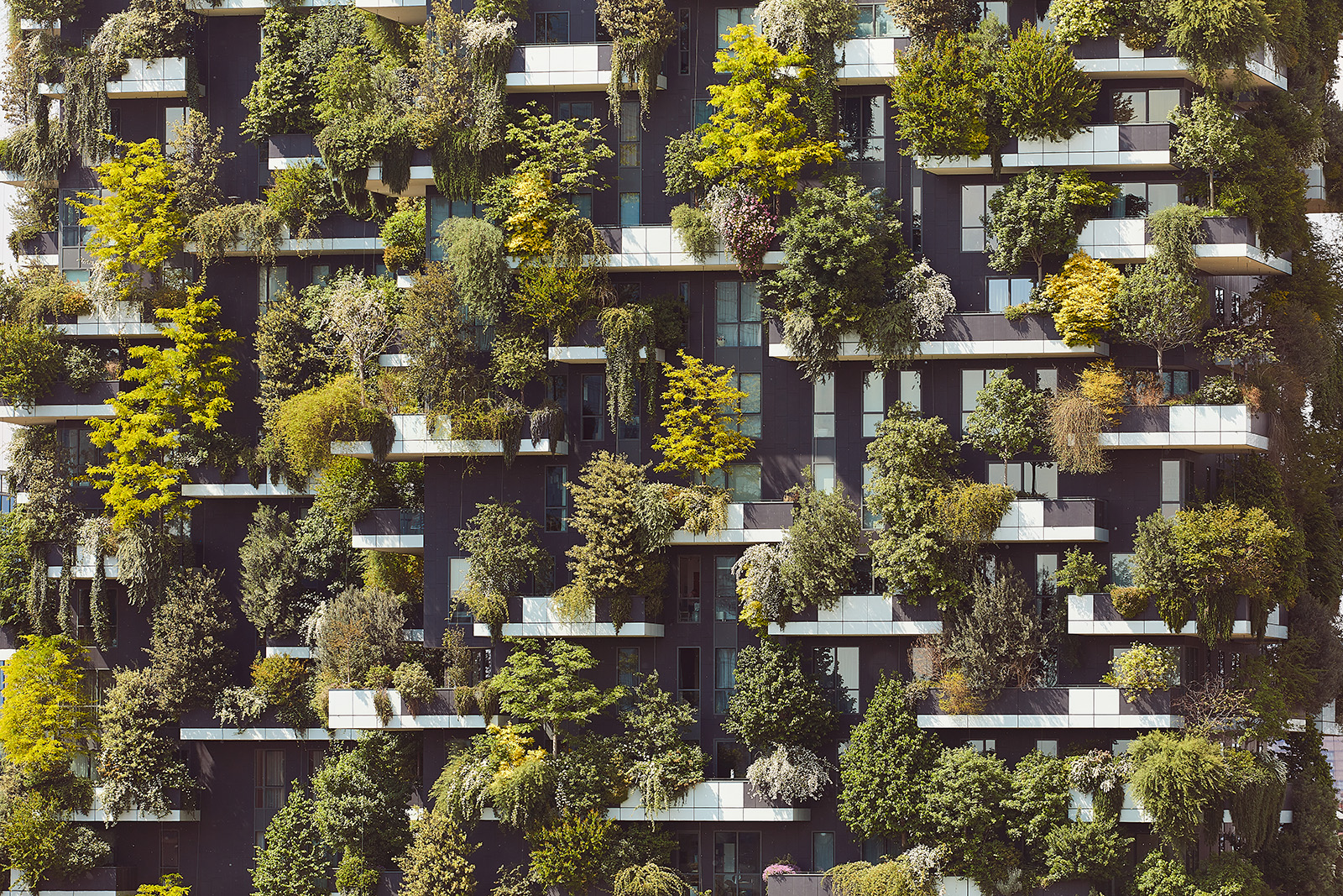 Boeri - Bosco Verticale