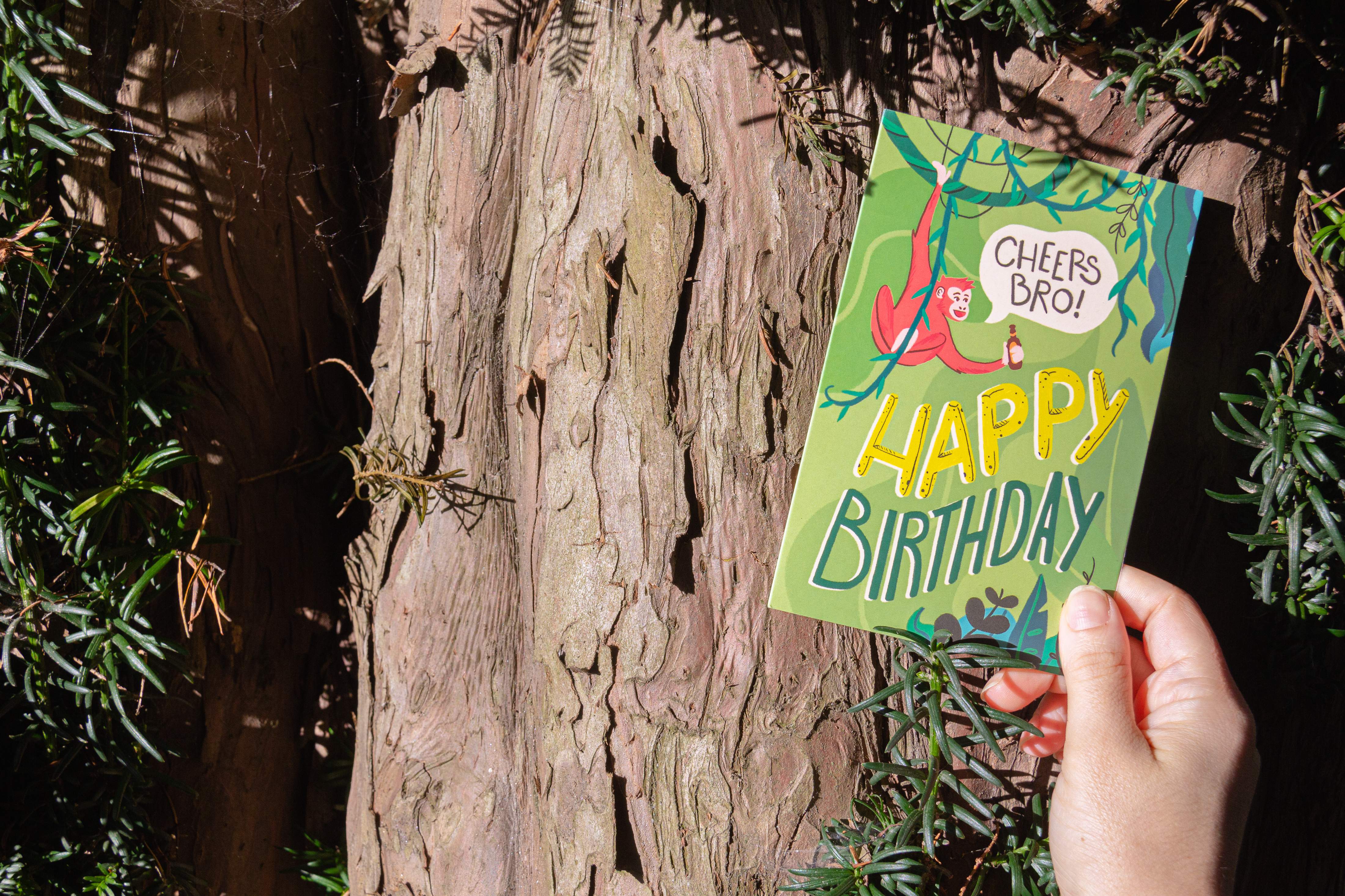 Birthday Card Collection, MAU Brands +