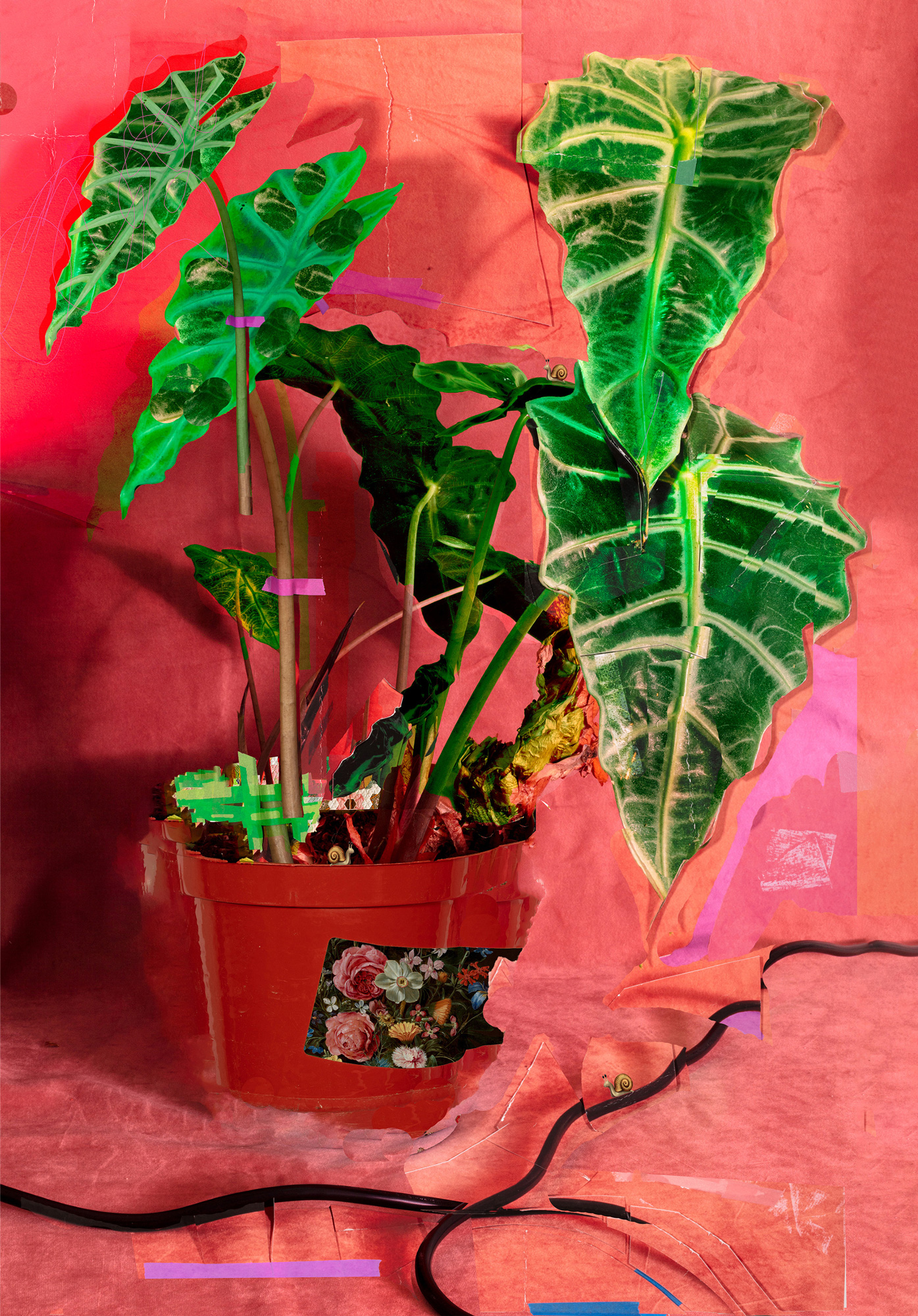 The jungle in the parlour, 2021, archival pigment print, 40”x30” and 20”x15” 