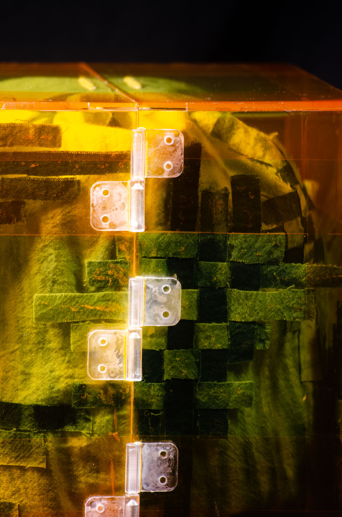 Close-up of the back hinges