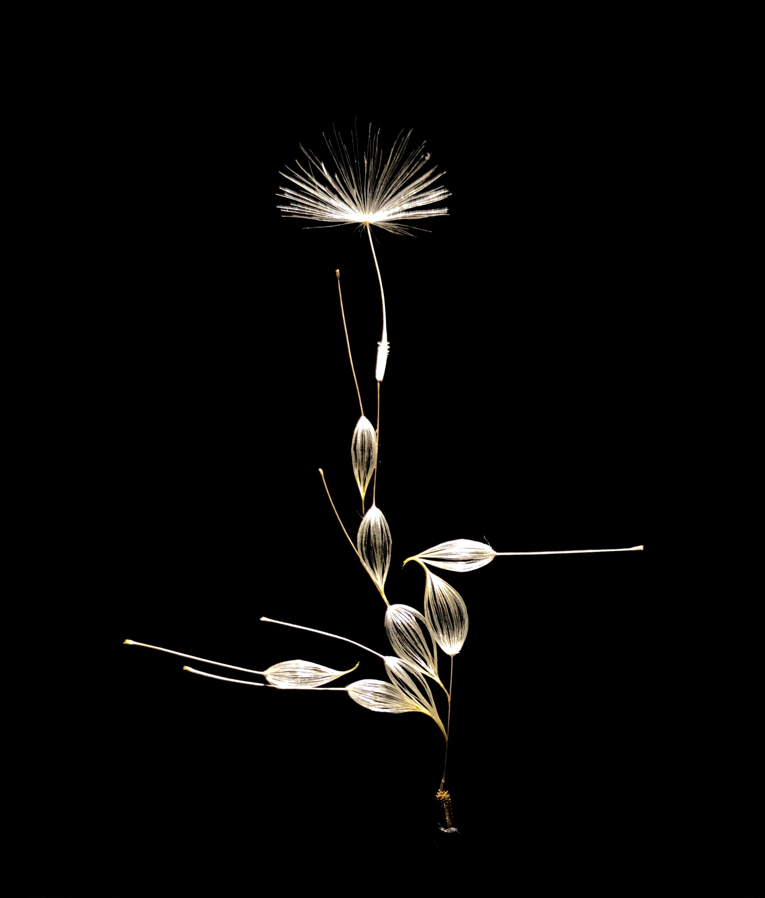 watage20181105 《 aloof 1 》40×57×9(mm)