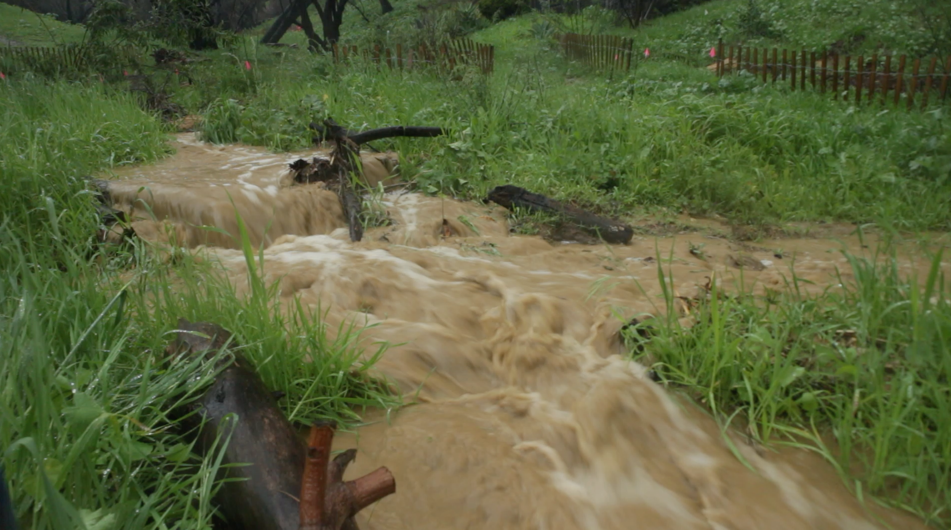 Fig 19. Fast flows out of the riparian plot