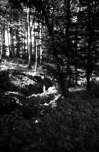 Lichte Gestalt nahe der Quelle,  1989/2003, Bartabzug 72,5x105cm