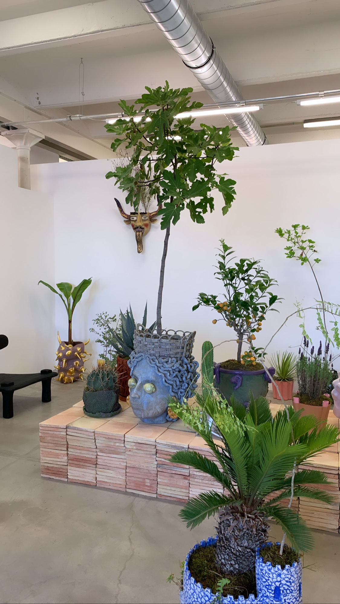 Claire Lézier, Coline Rosoux, Gert Wessels, Nitsa Meletopoulos, Olga Flór, Robin Berrewaerts, Romain les Bains, Roosje van Donselaar and Sabrina Sguanci Baroni at F R A C A S, Brussels [BE]