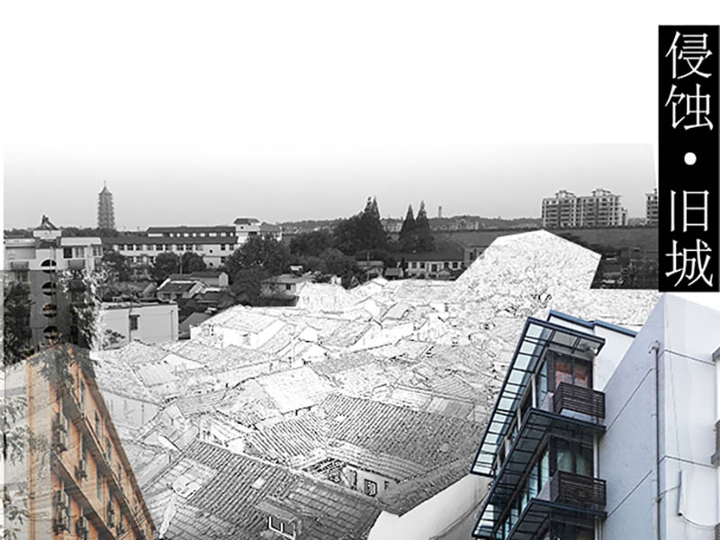 青年旅舍二年级