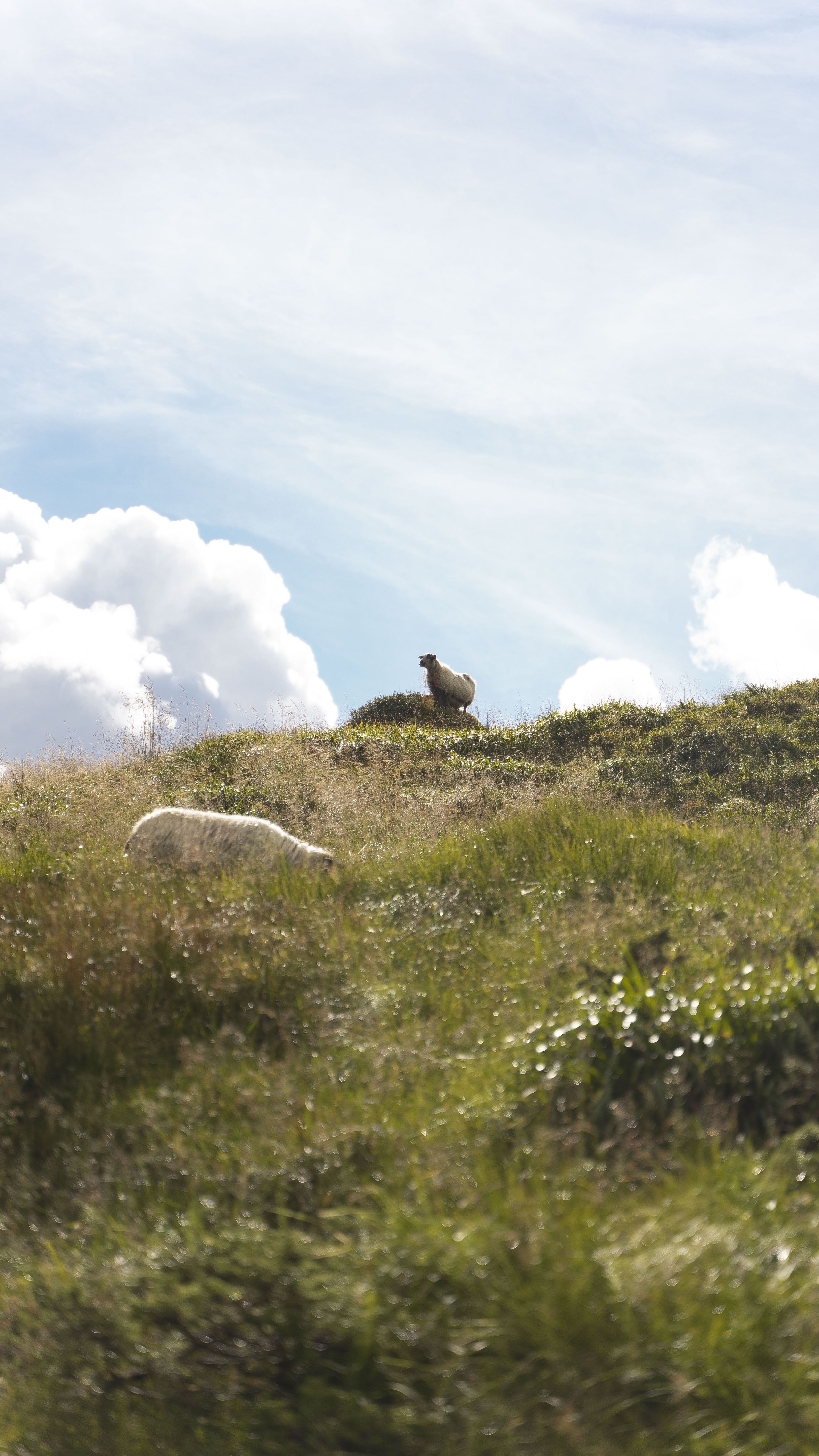 A summer hike in Bergen, Norway