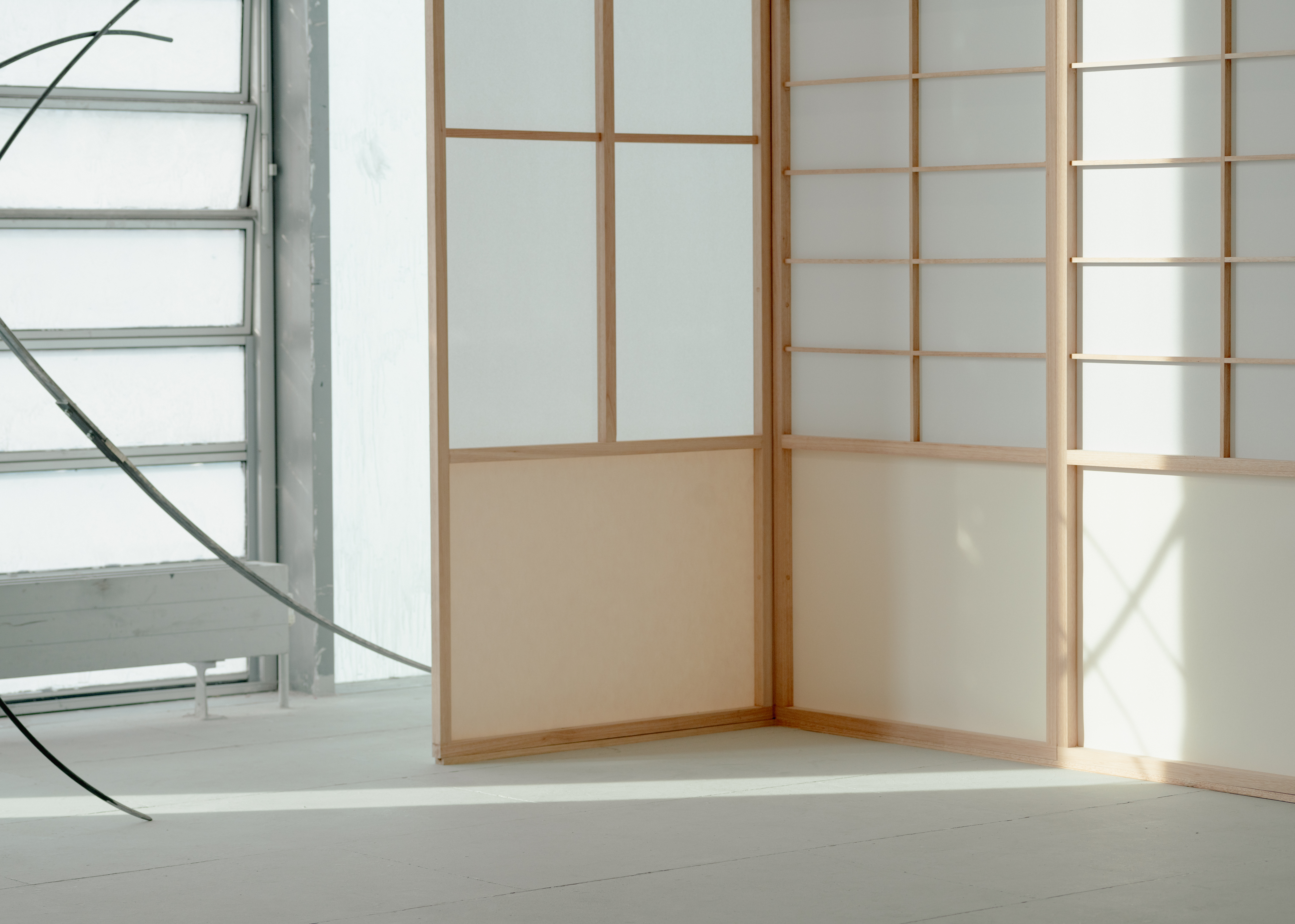 Installation featuring Shōji, 2025. Red grandis, shōji paper, rice glue, drawing paper, tape.