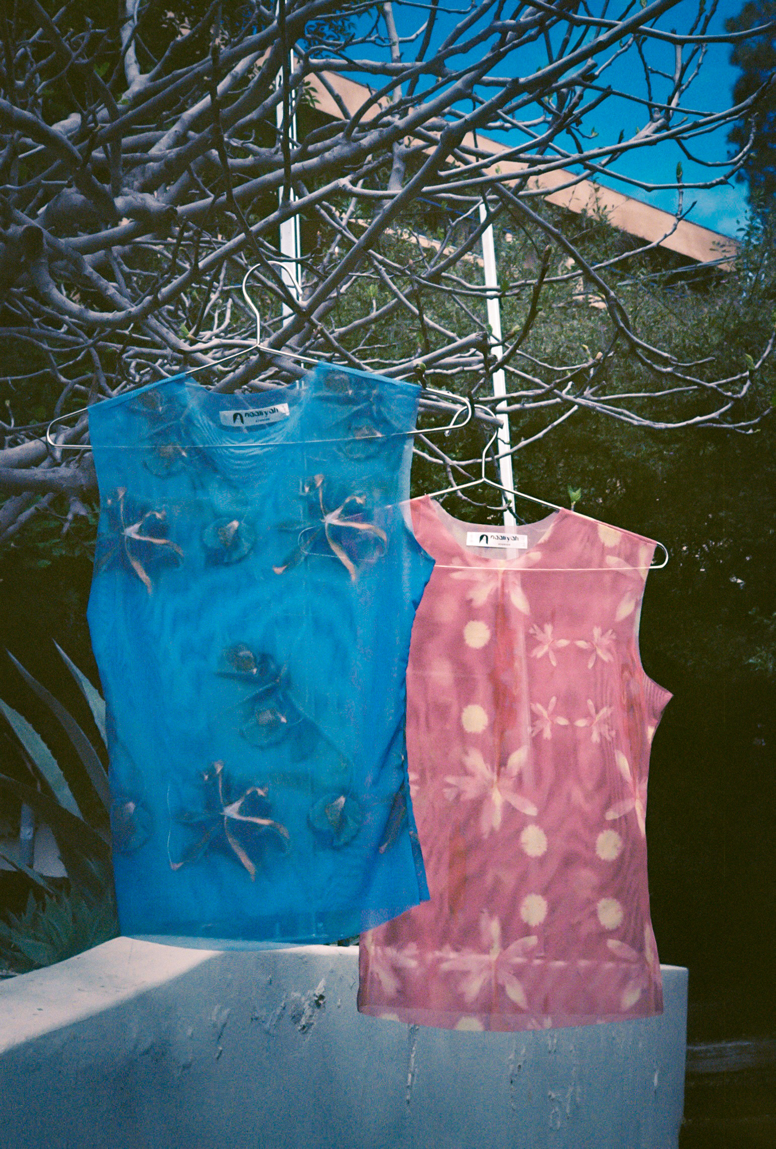 film photography by Nicole Andrews