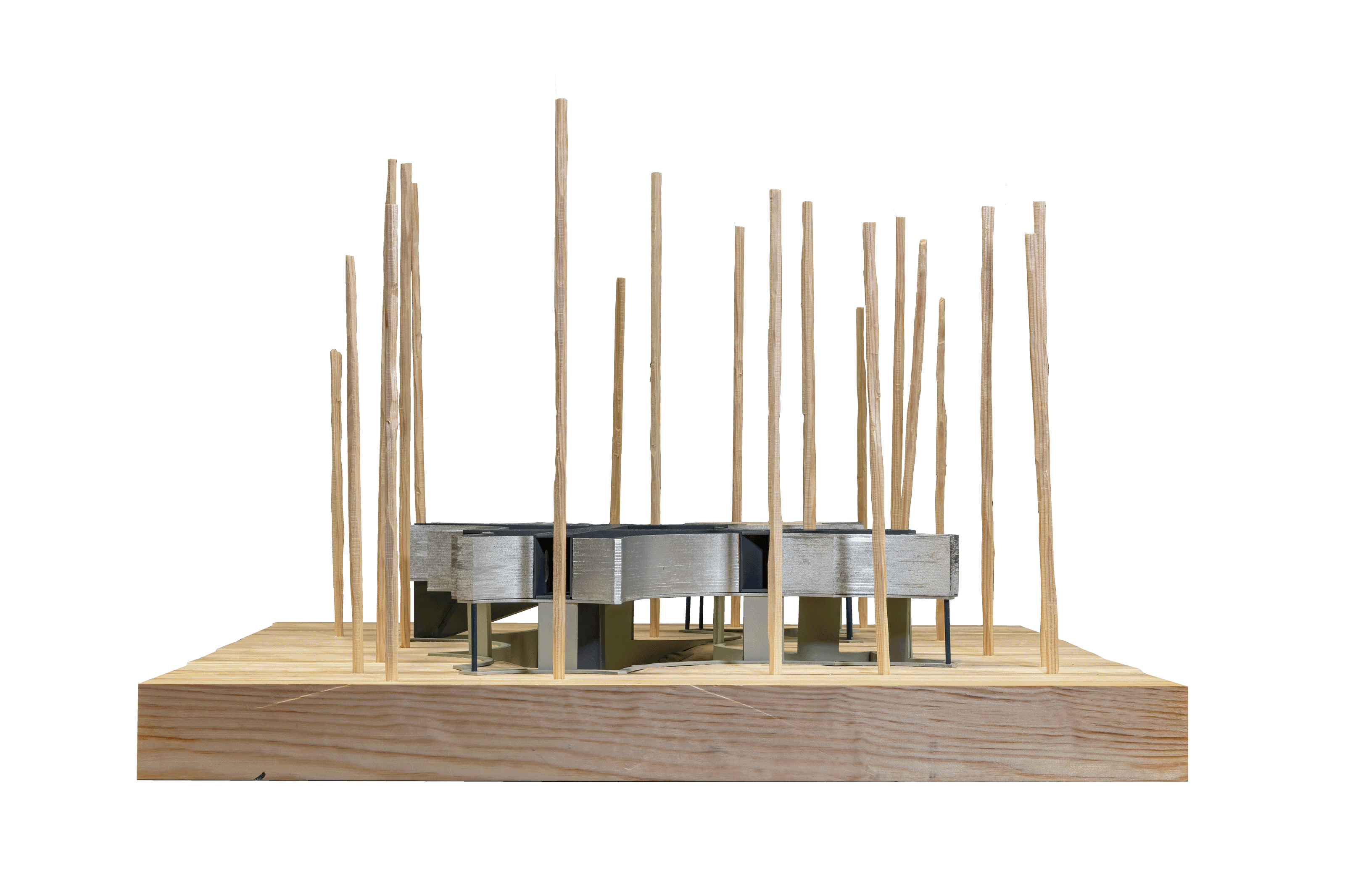 bygning i en furuskog. 2019