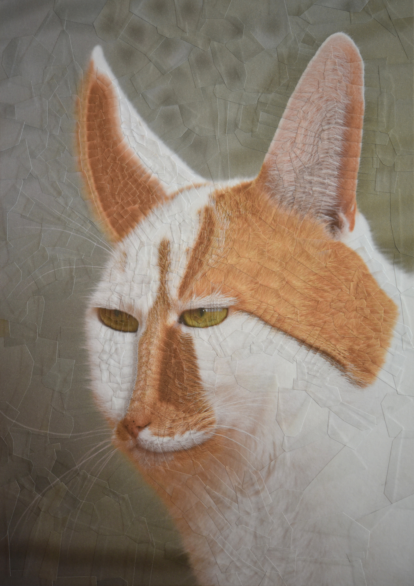 Charlie, Destroyer of Butterflies, 2018, 8.1 x 11.5 inches