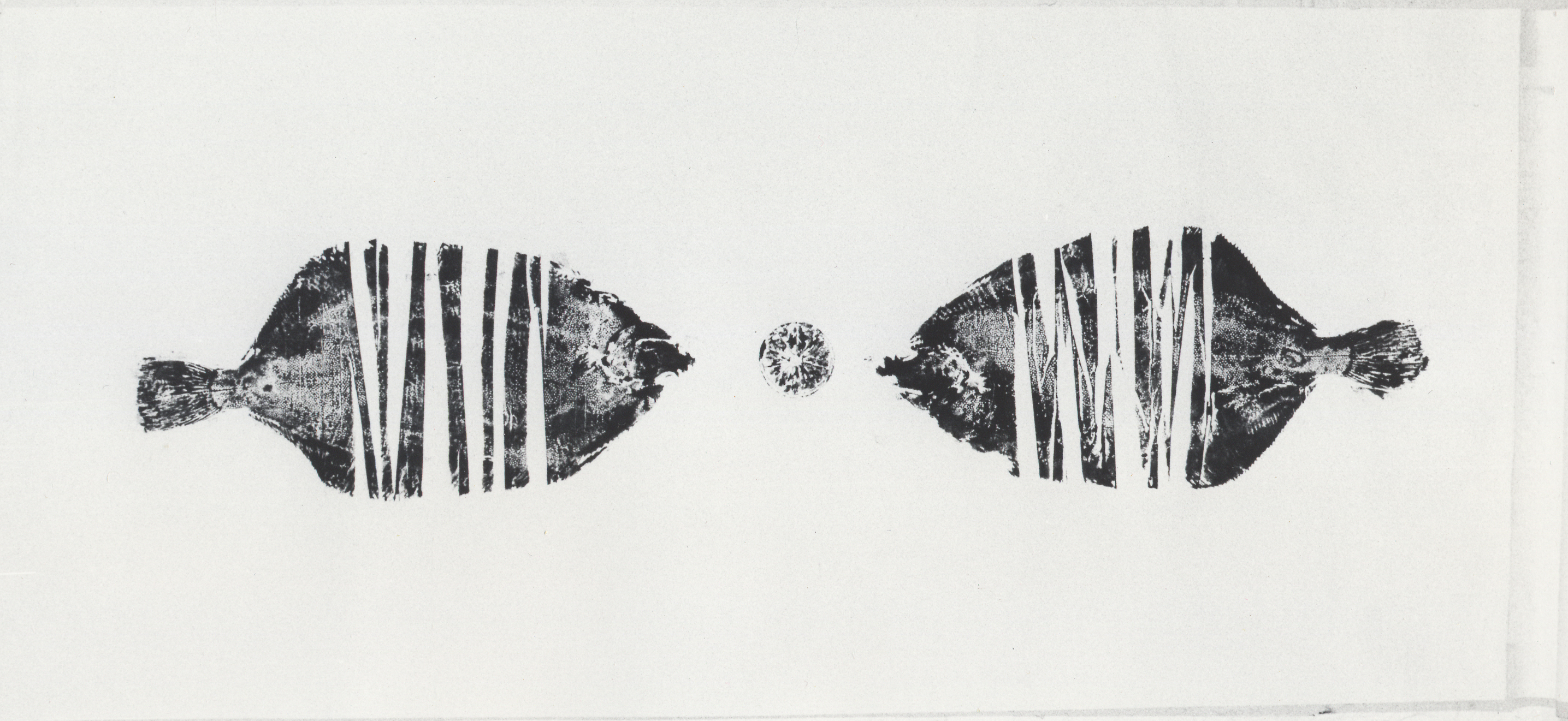 02- Poisson composite, 120x55cm