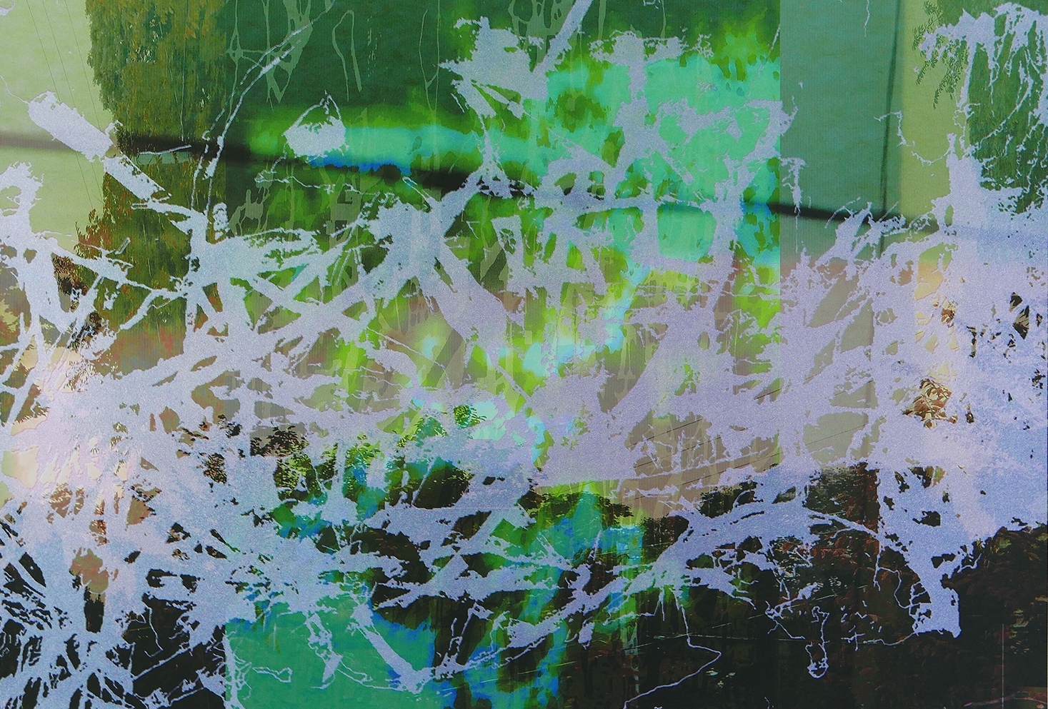 Changeling, hybrid digital/screen print on Zerkall paper, 23.5 in. x 36 in., 2017