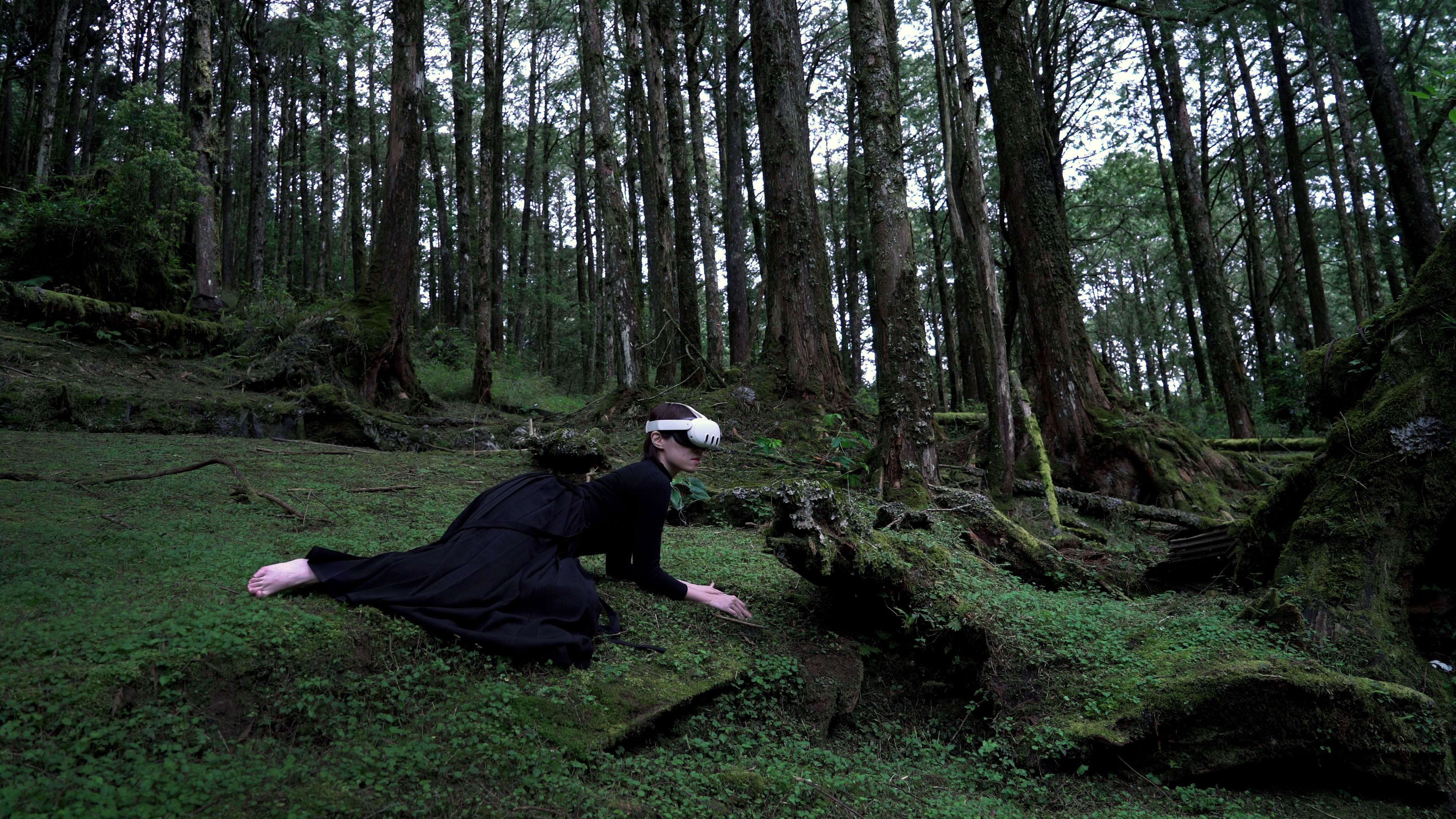 Group Exhibition - Eye of Flora: Climate Imaginarium - Governors Island New York, 2024