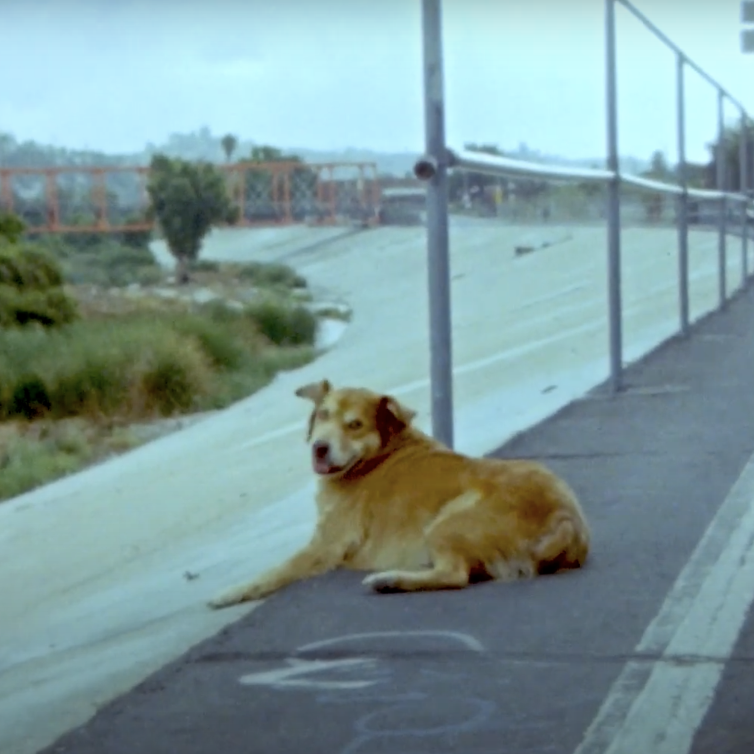 music video: producer, creative director