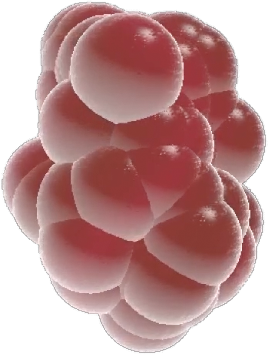 epimorphGrowing a new body