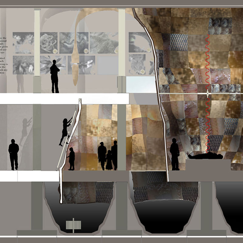 [R]evolution : A Clinic for Humanimals