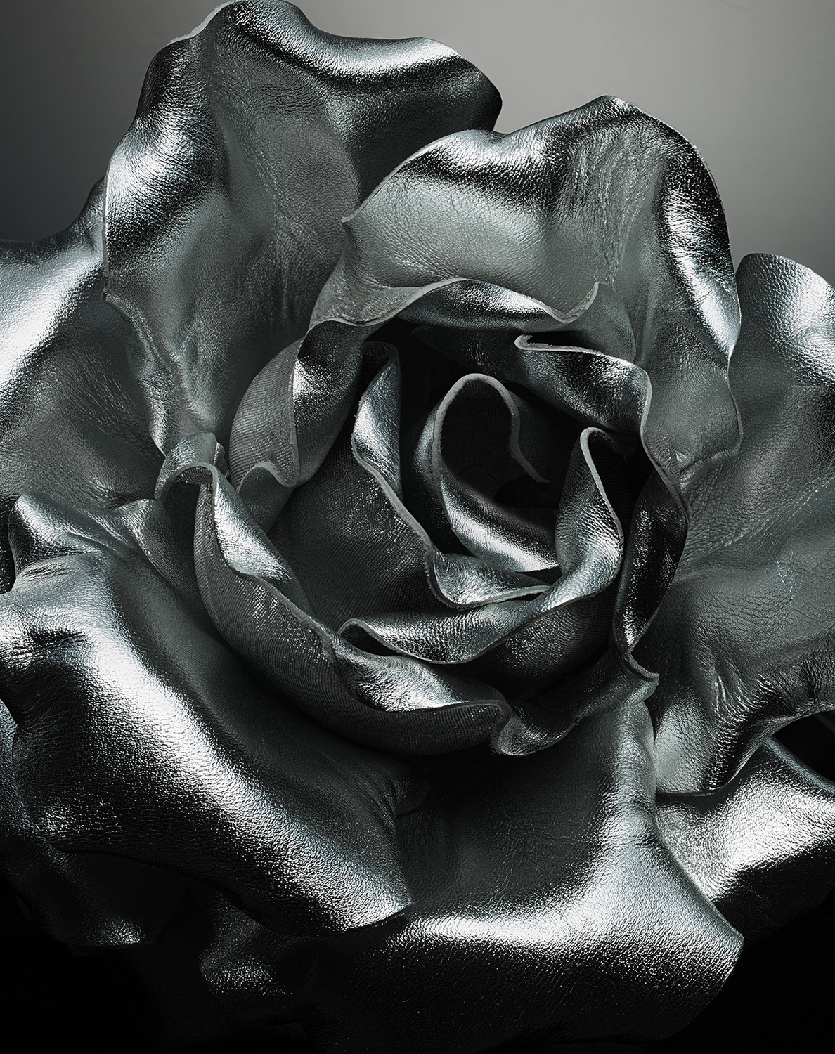 KMA photographer Isabelle Bonjean shoots black and white photo of a metallic flower