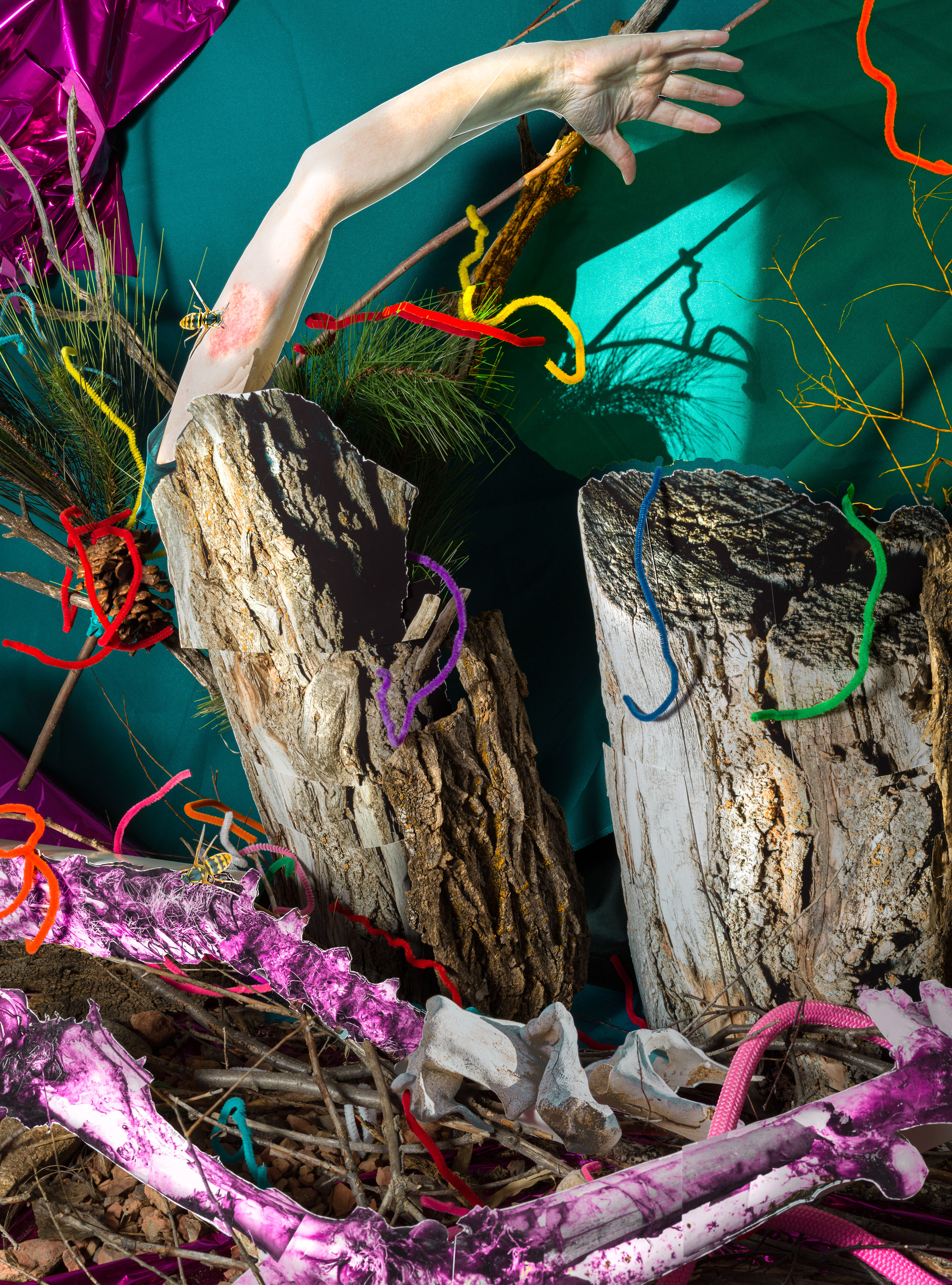 Another Sting Altogether, 2023, archival pigment print, 27” x 20”