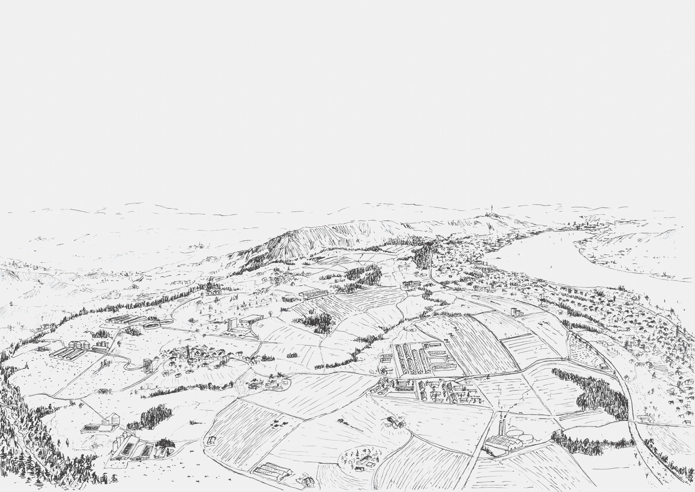 The tendency of up or out thought out to the extreme: The centralization process dominates the landscape.